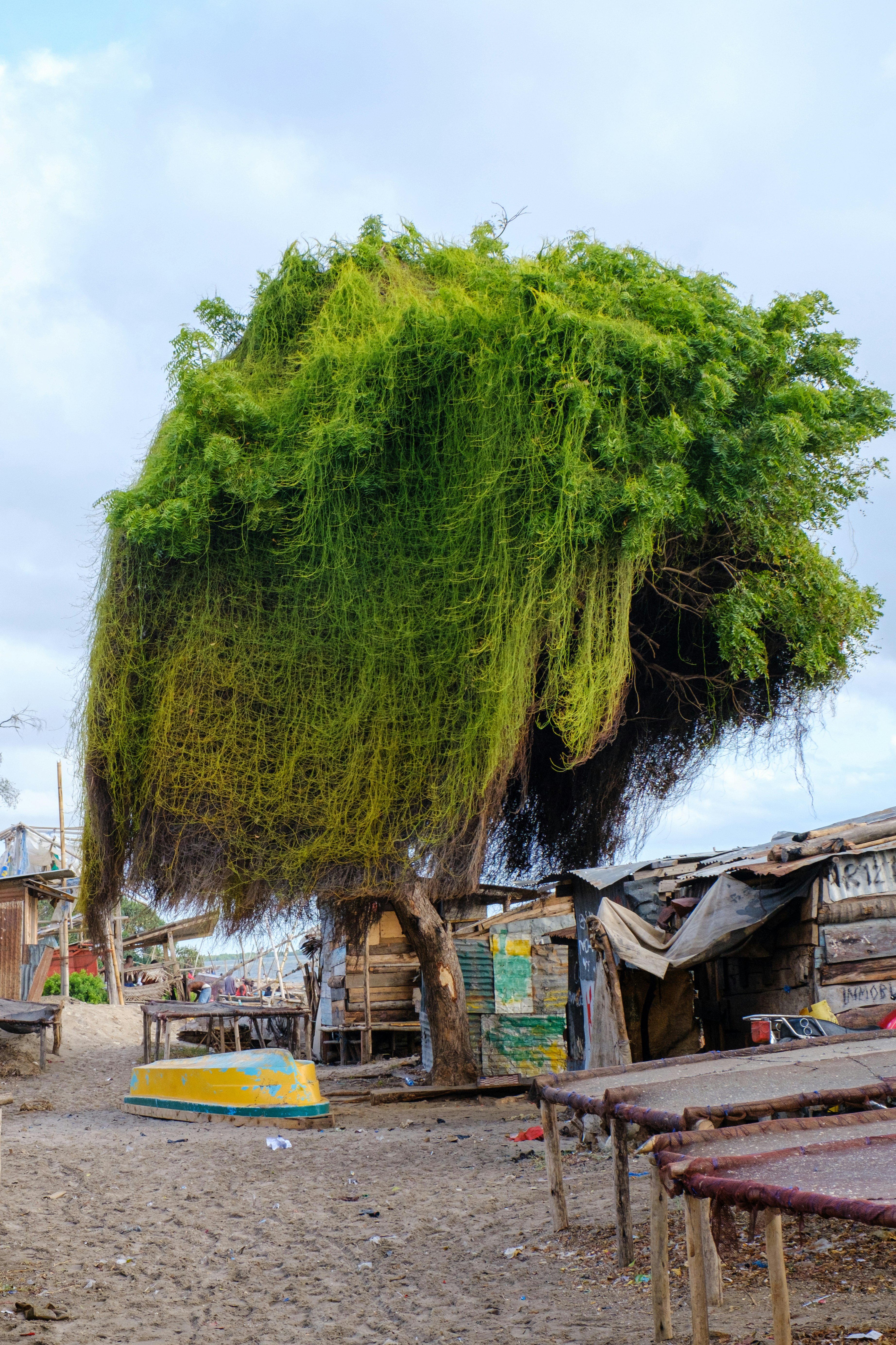 Bagamoyo travel photo