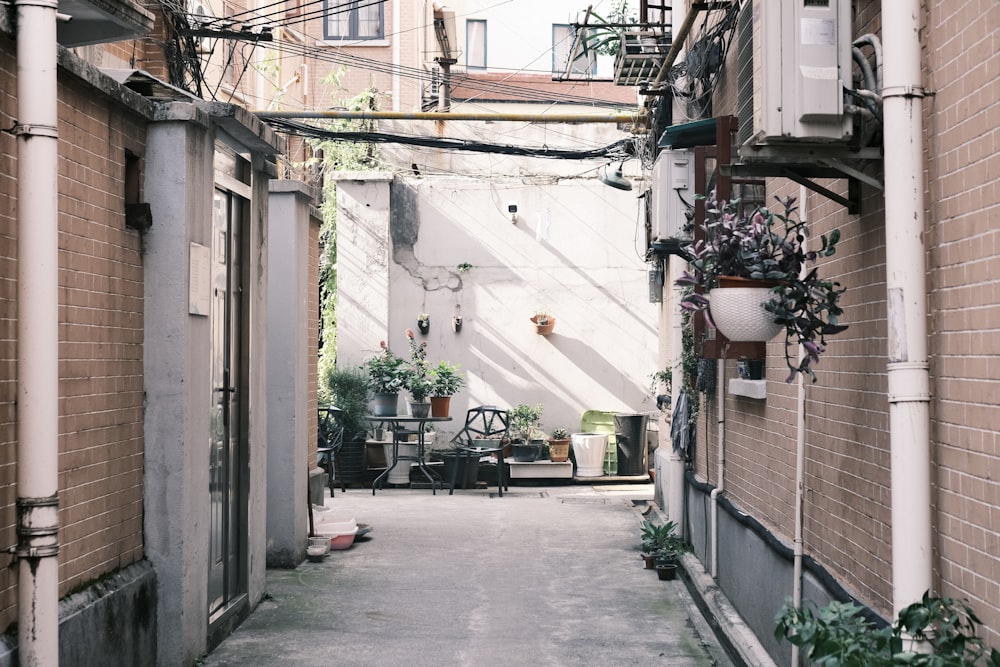 a narrow alley way with plants growing on the walls