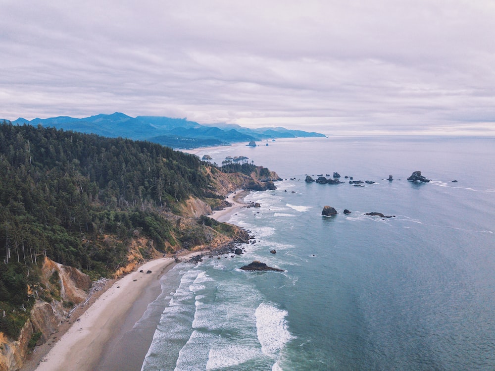 an aerial view of a beach and forested area