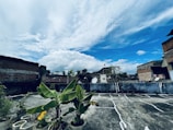 Community garden with members tending to plants under a clear Singapore sky.