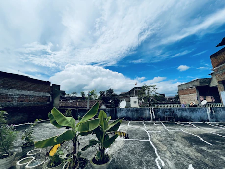A vibrant rooftop garden bursting with fresh herbs and vegetables under a clear blue sky.