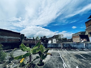 Community garden with members tending to plants under a clear Singapore sky.