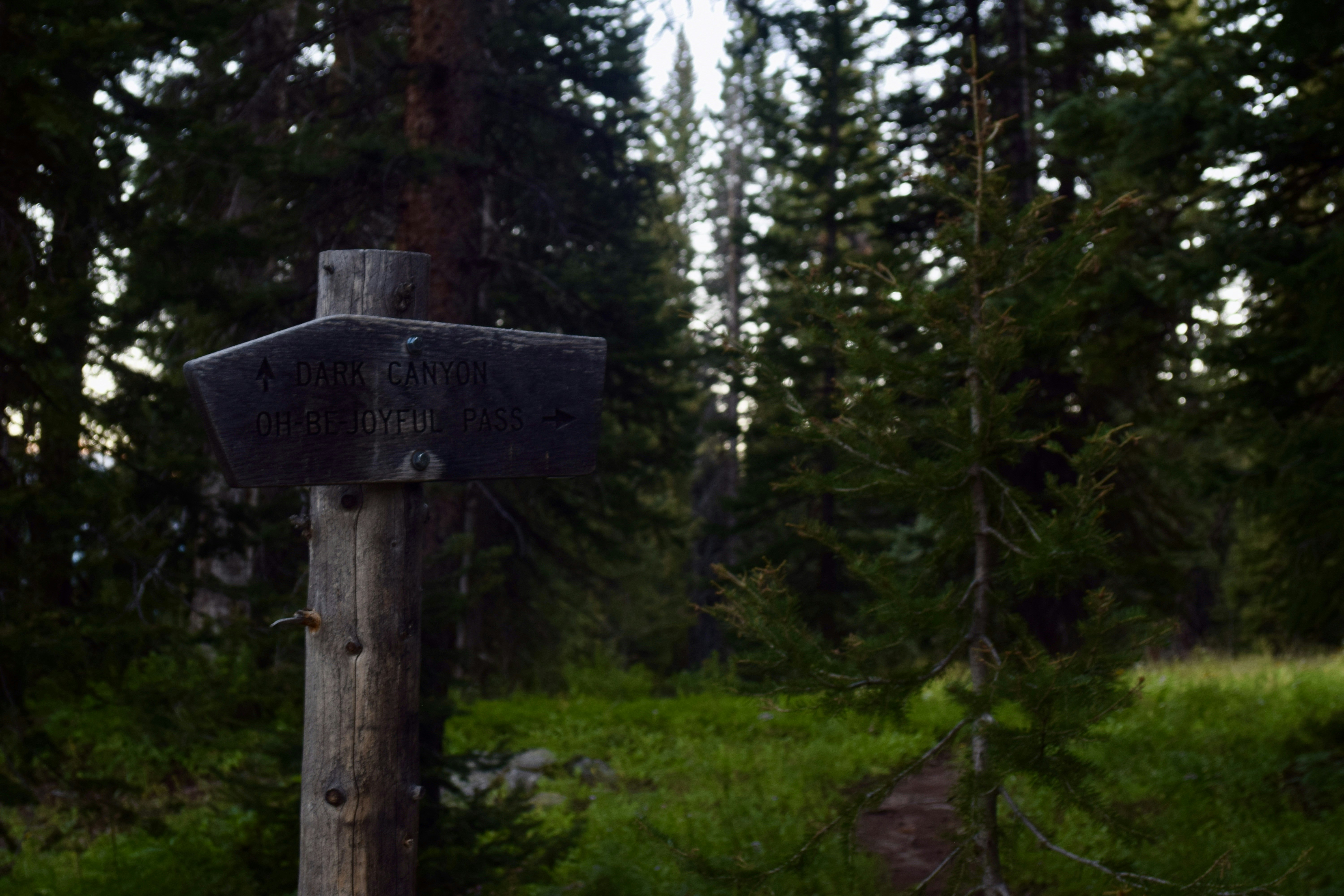 Photo by cowilderness