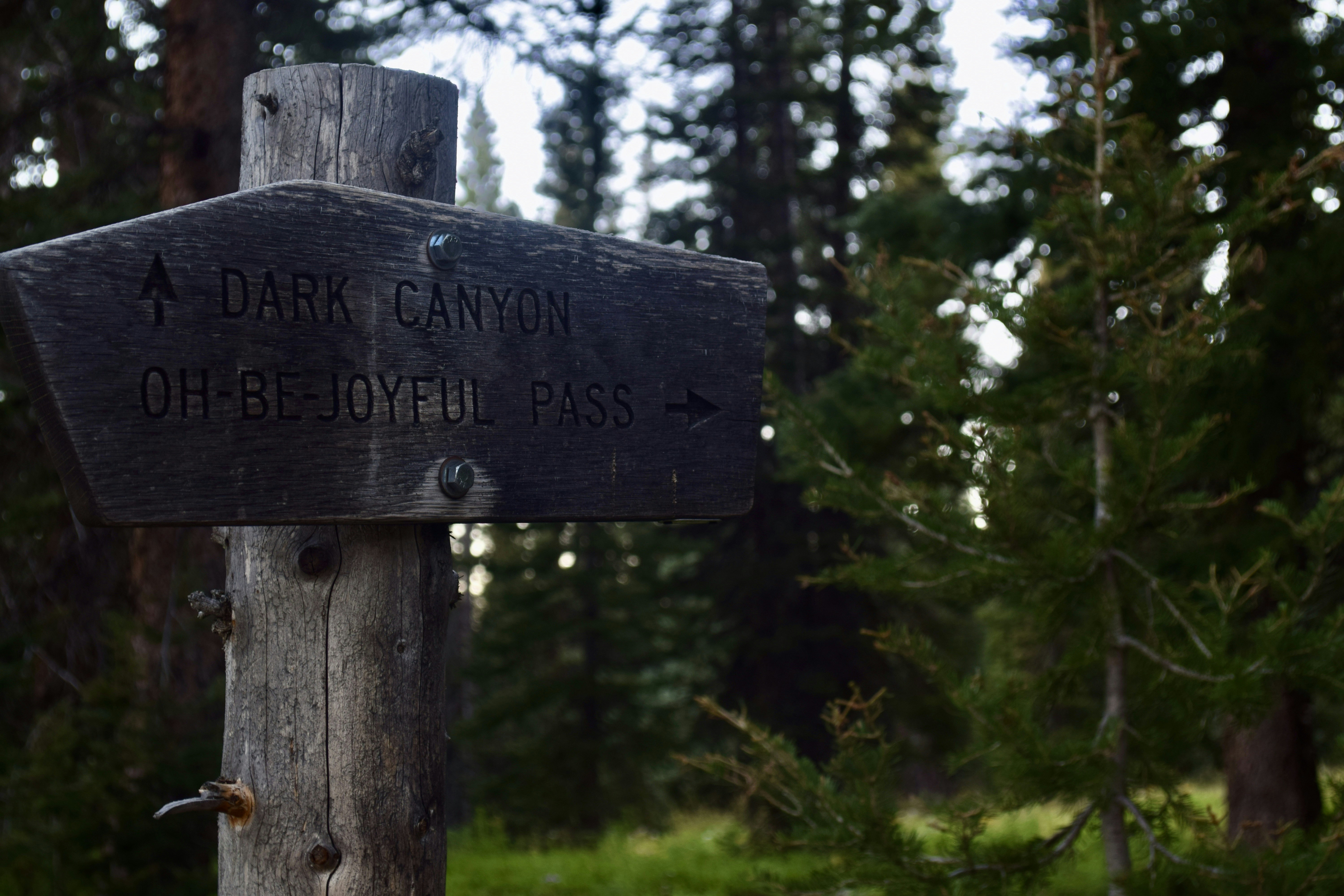 Photo by cowilderness