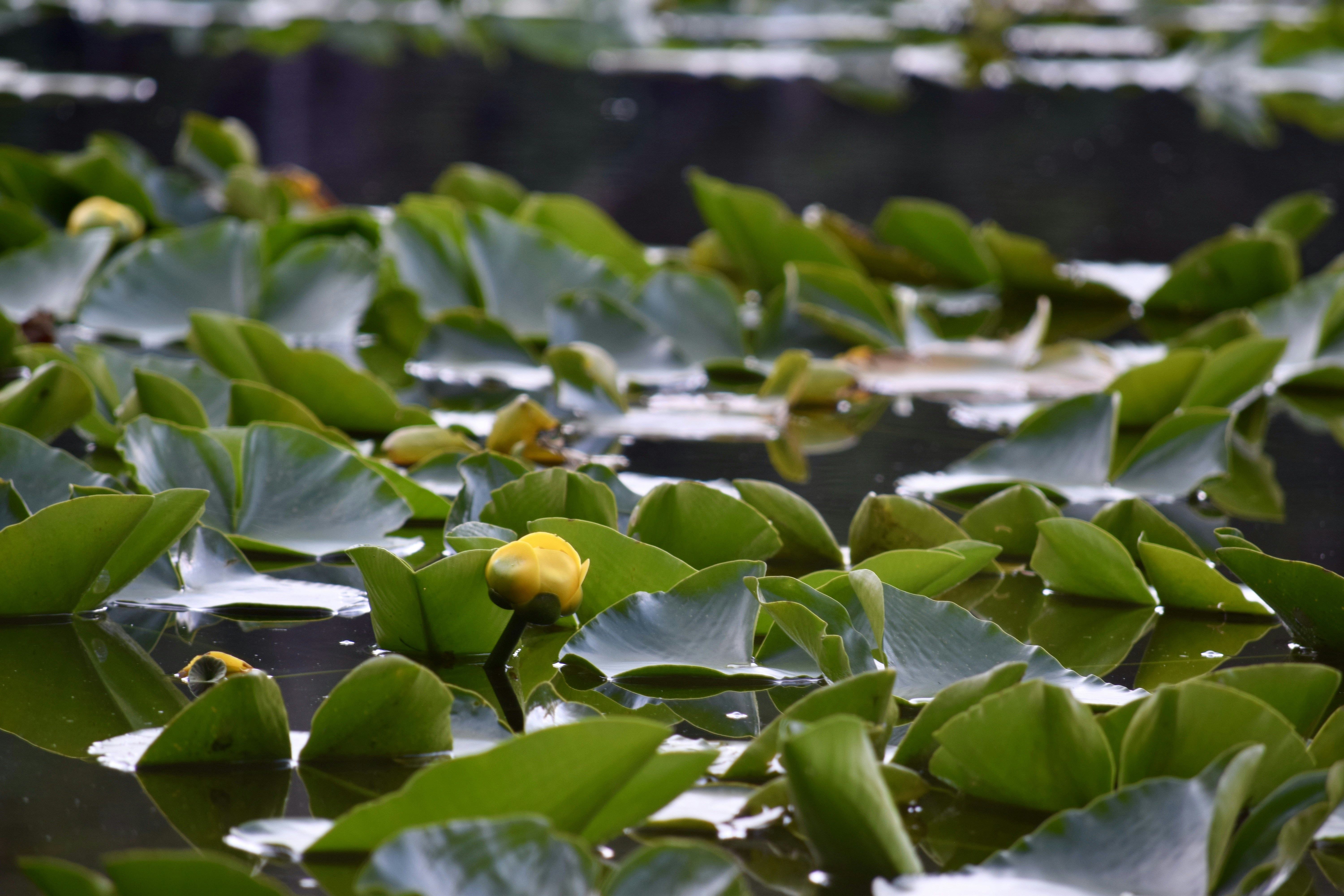 Photo by cowilderness