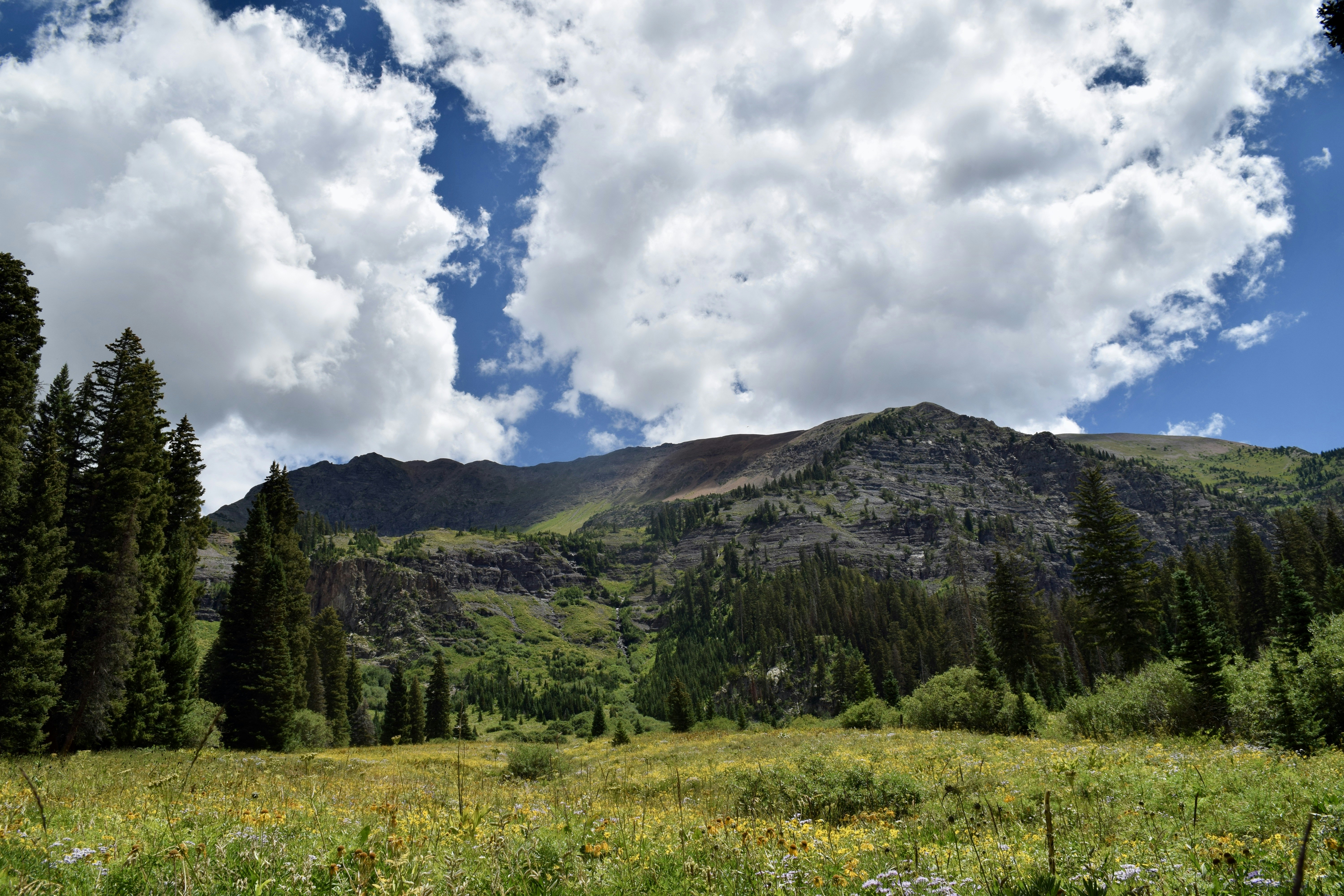 Photo by cowilderness