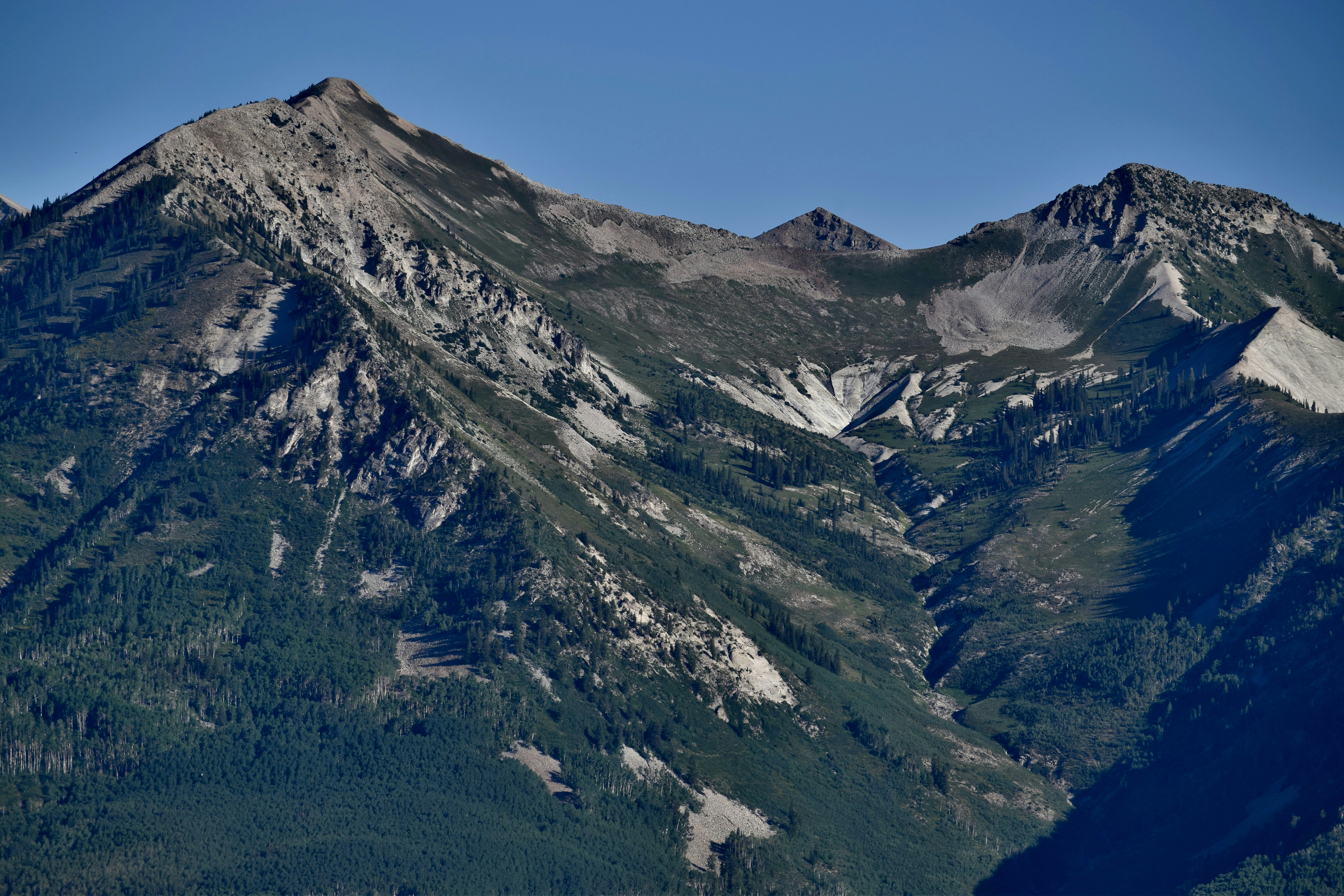 Photo by cowilderness