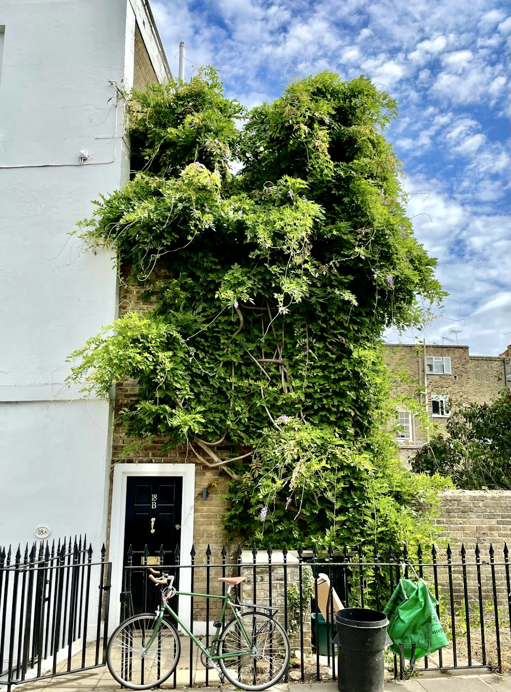 a bicycle parked in front of a tall tree