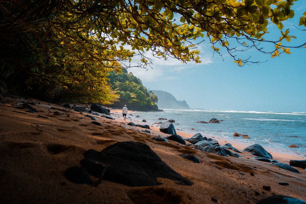 a person walking on a beach next to the ocean