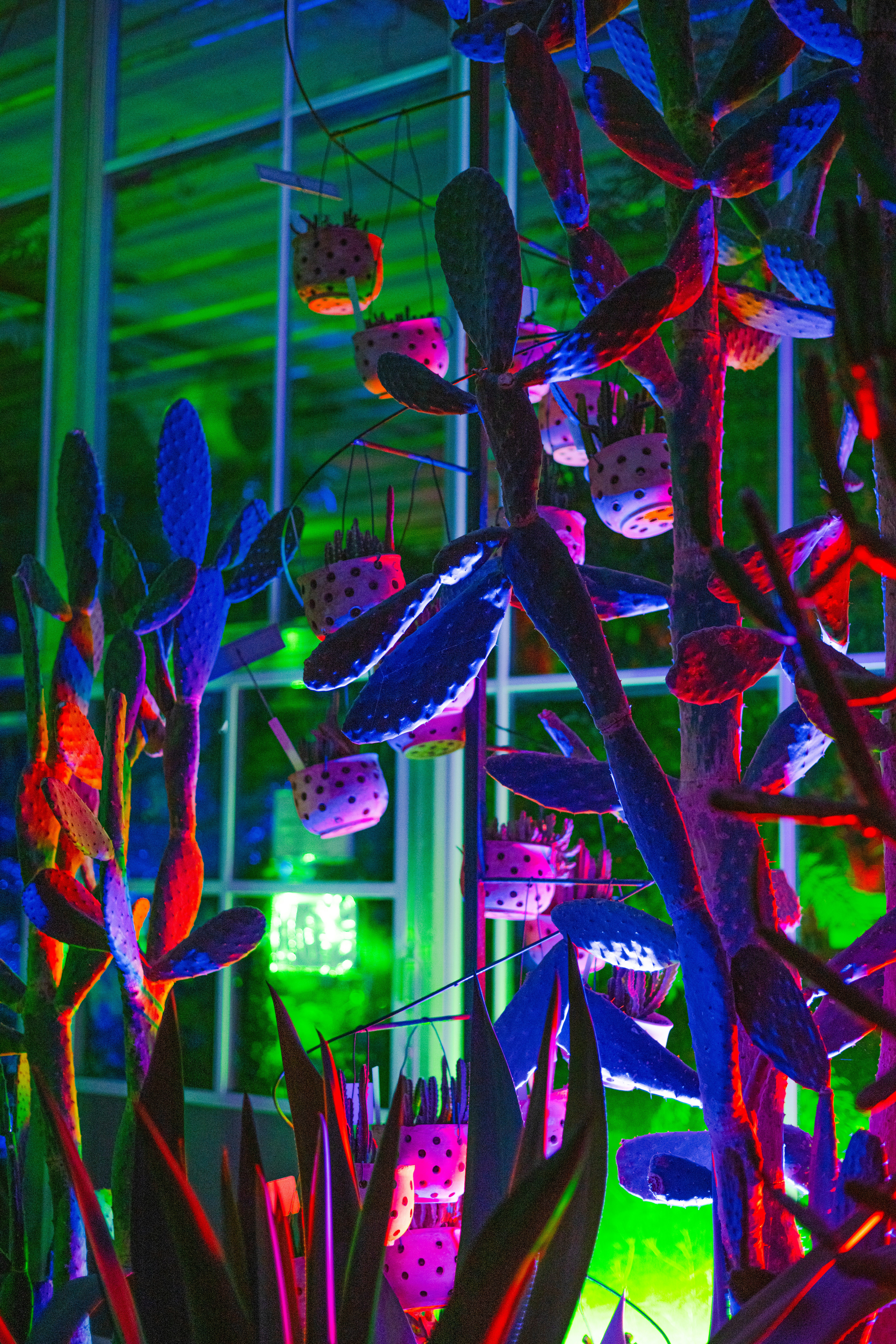 Photo by anitaaustvika