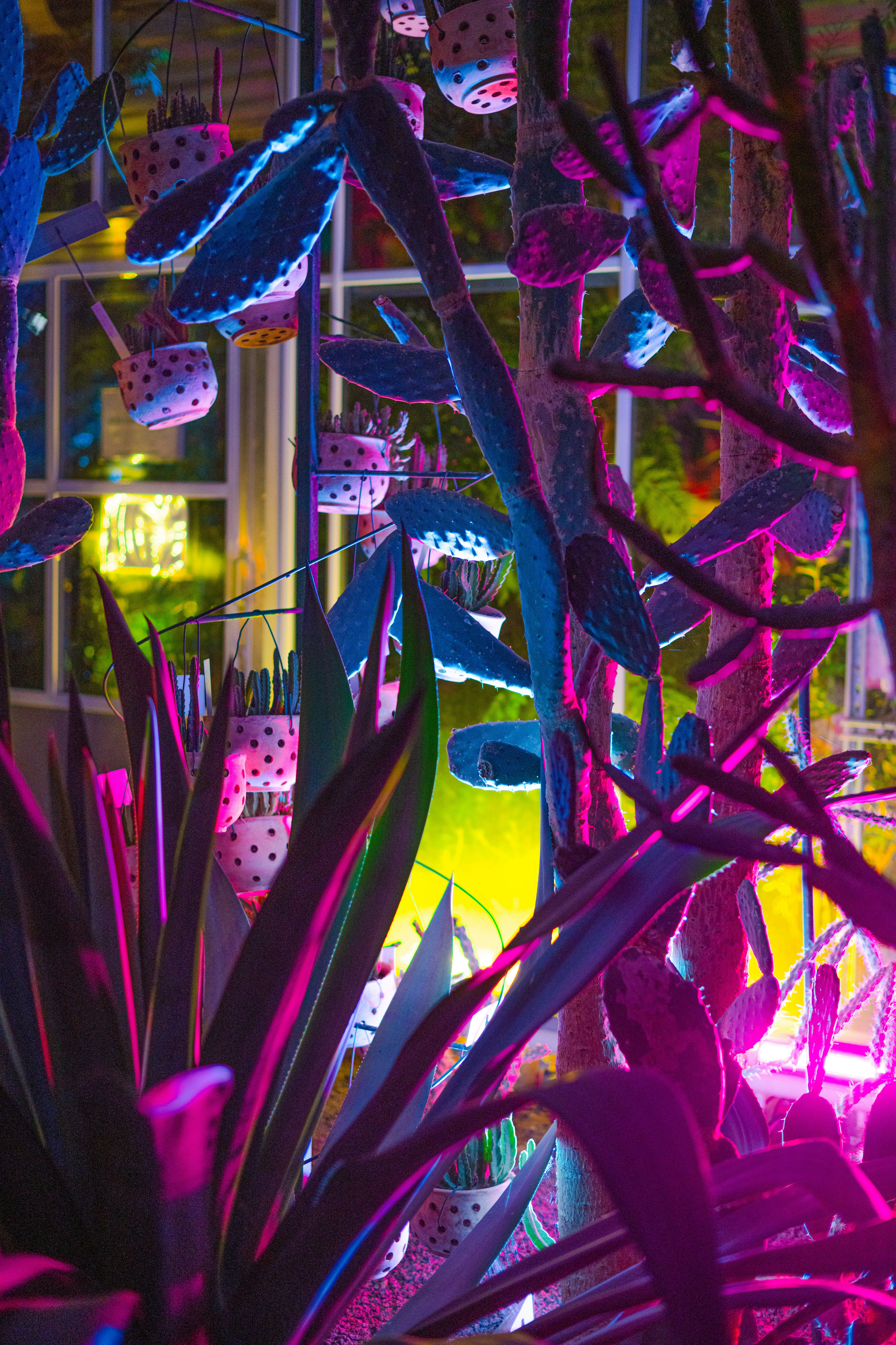 Photo by anitaaustvika