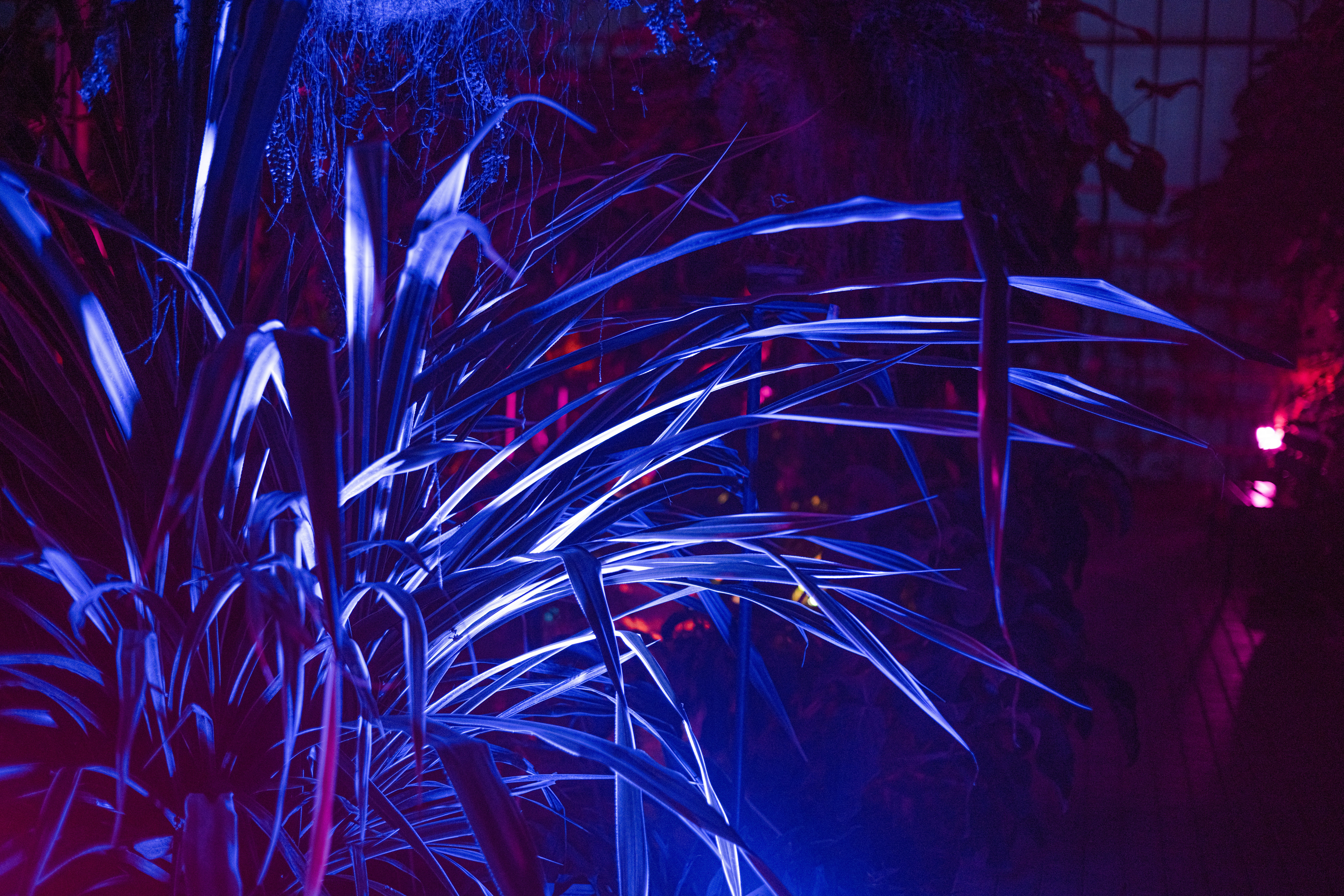 Photo by anitaaustvika