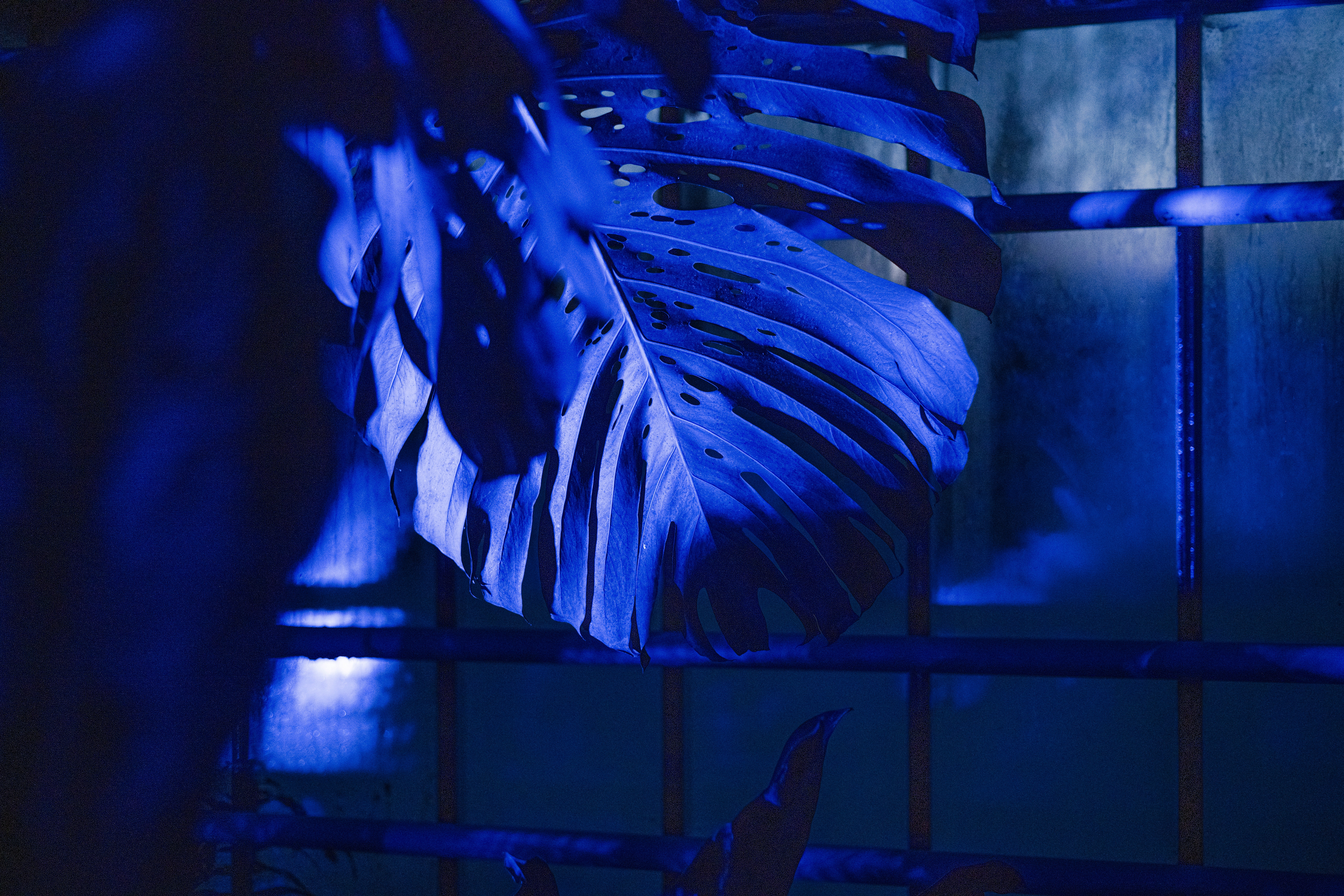 Photo by anitaaustvika