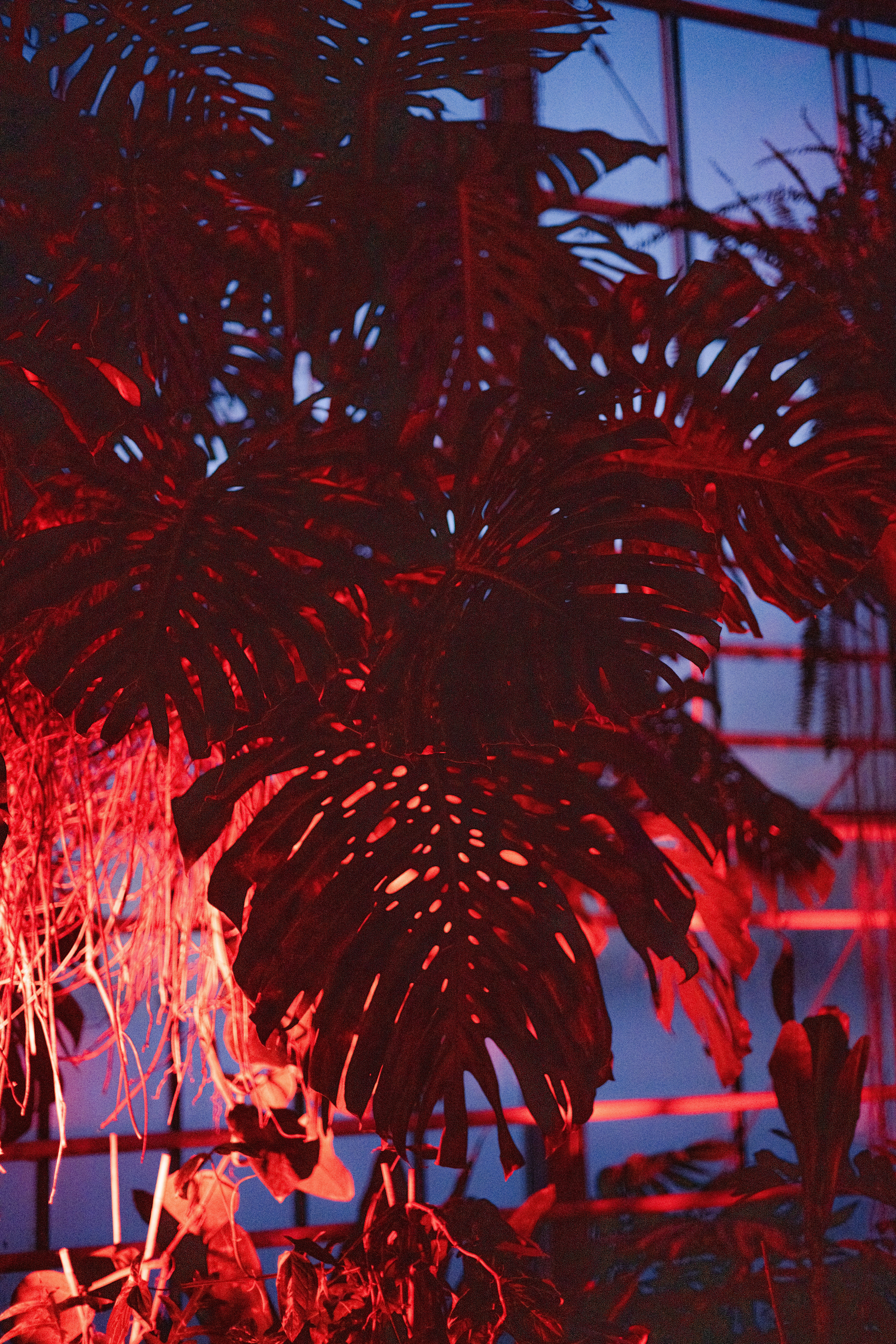 Photo by anitaaustvika