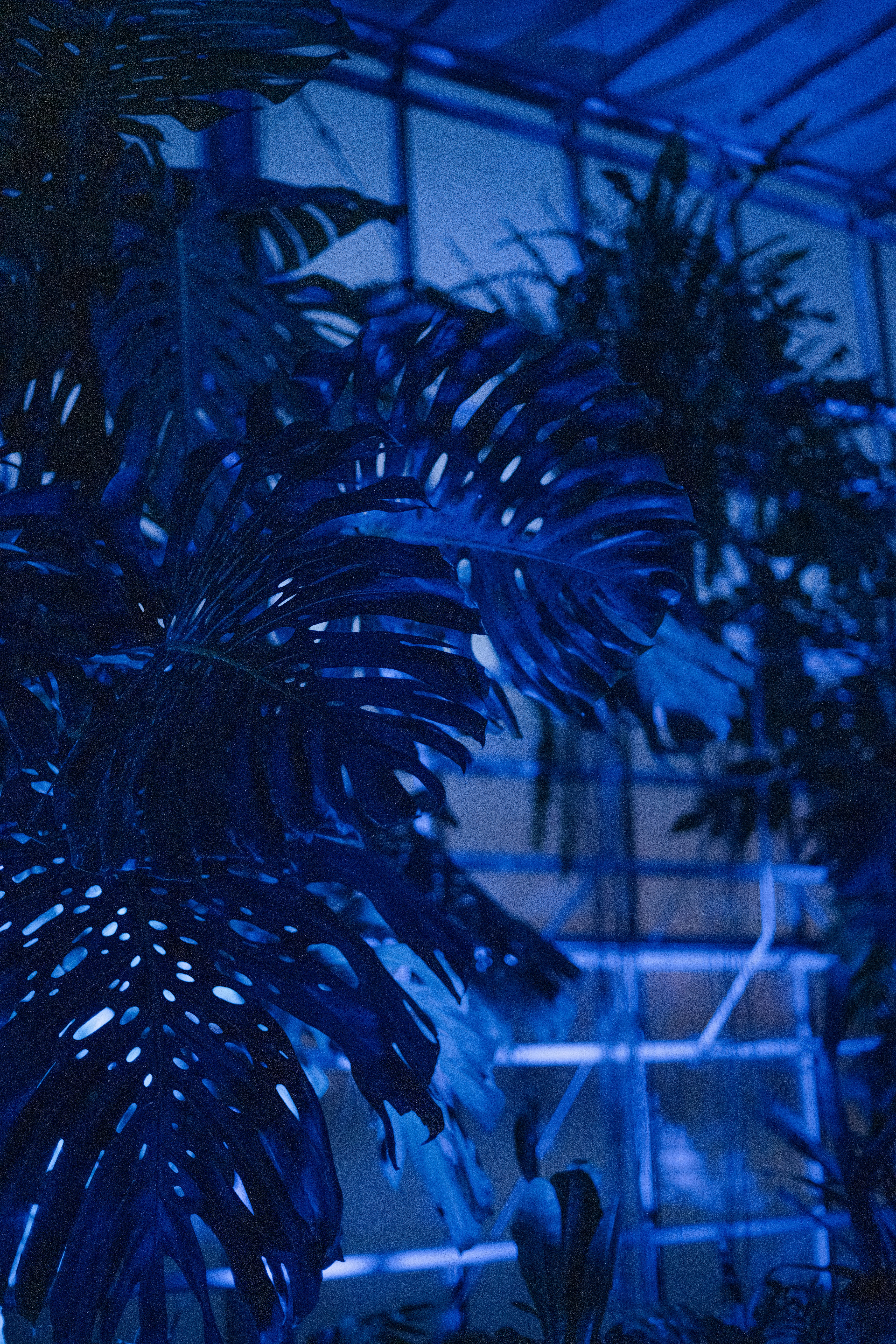 Photo by anitaaustvika