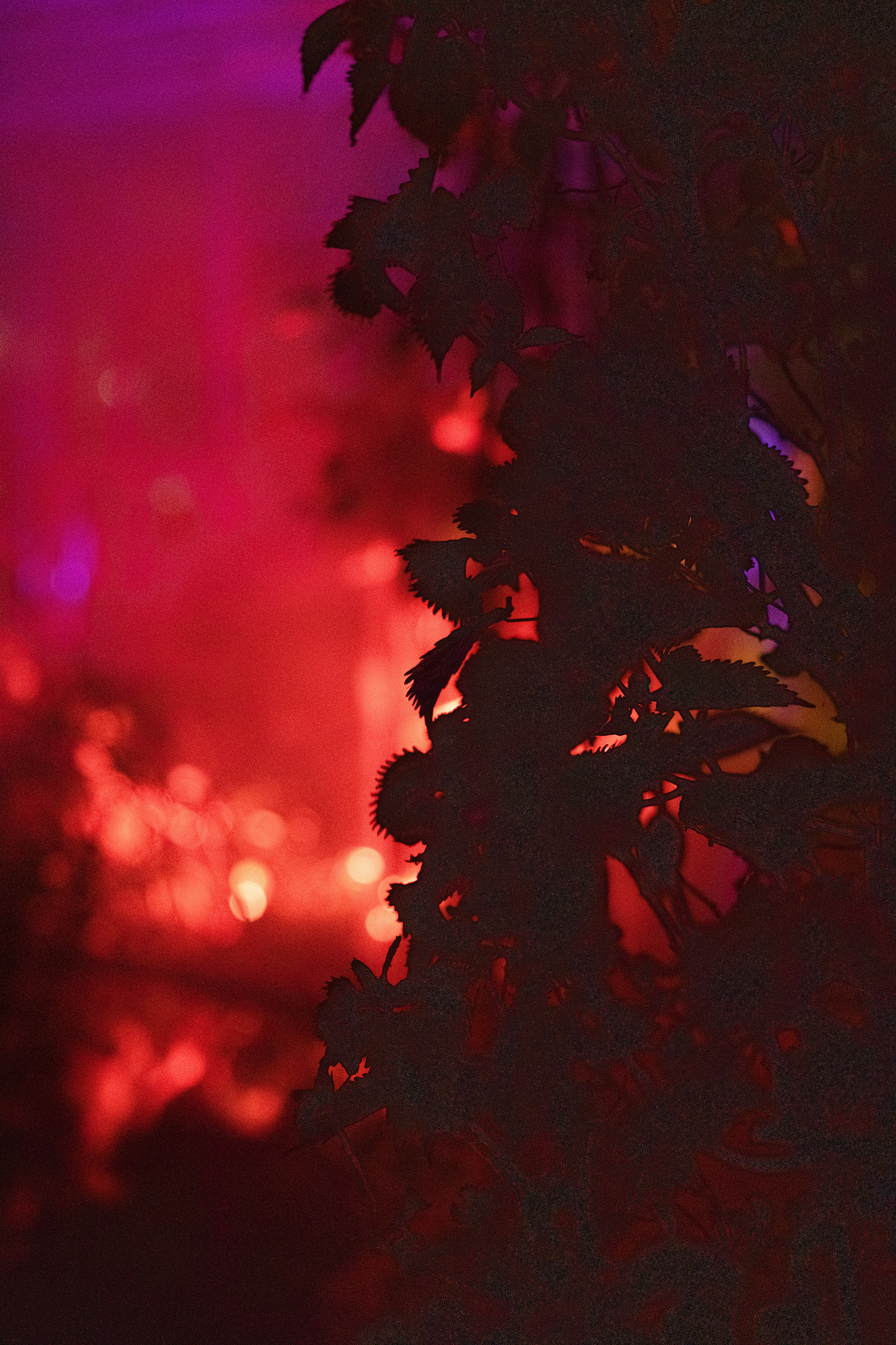 Photo by anitaaustvika