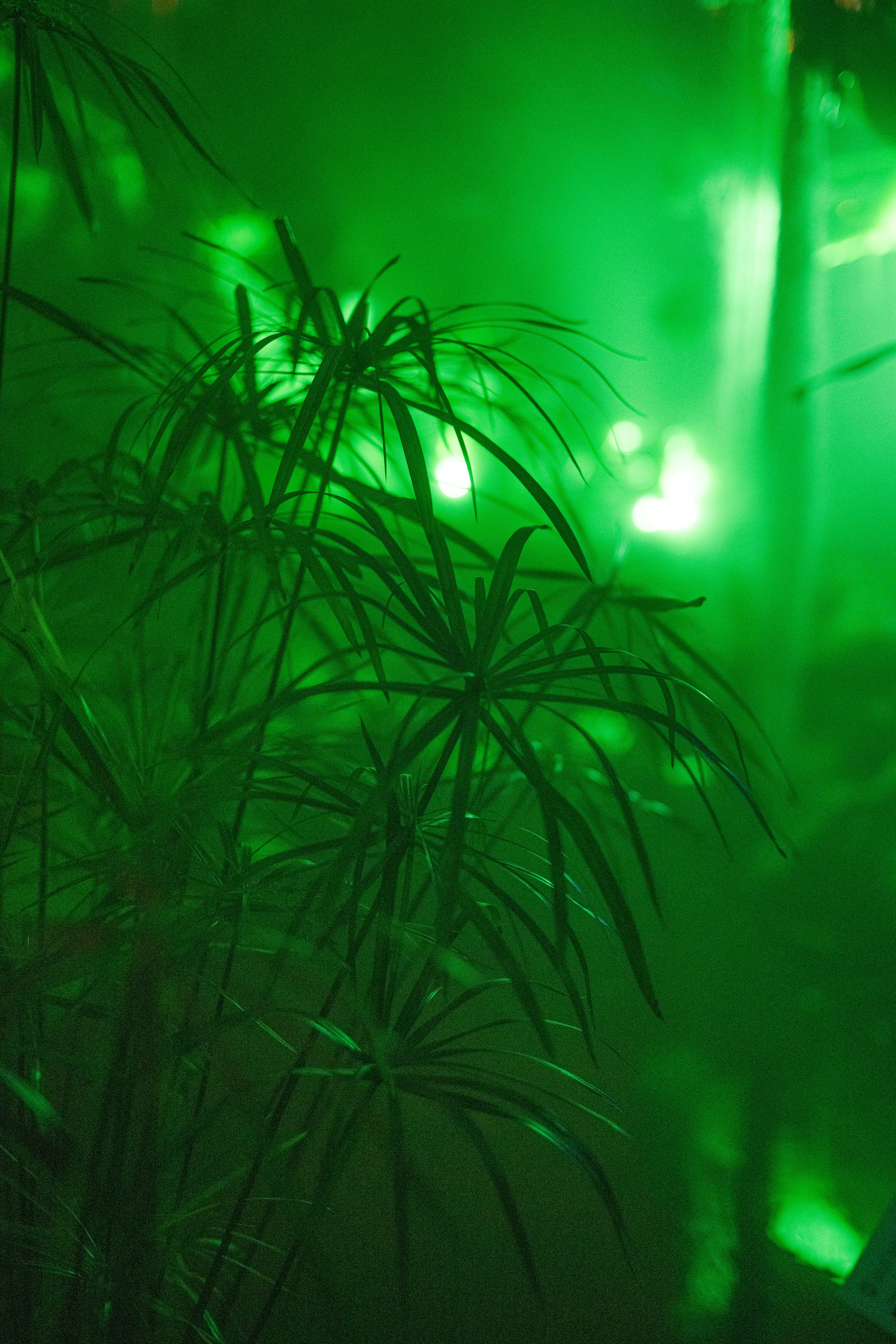 Photo by anitaaustvika