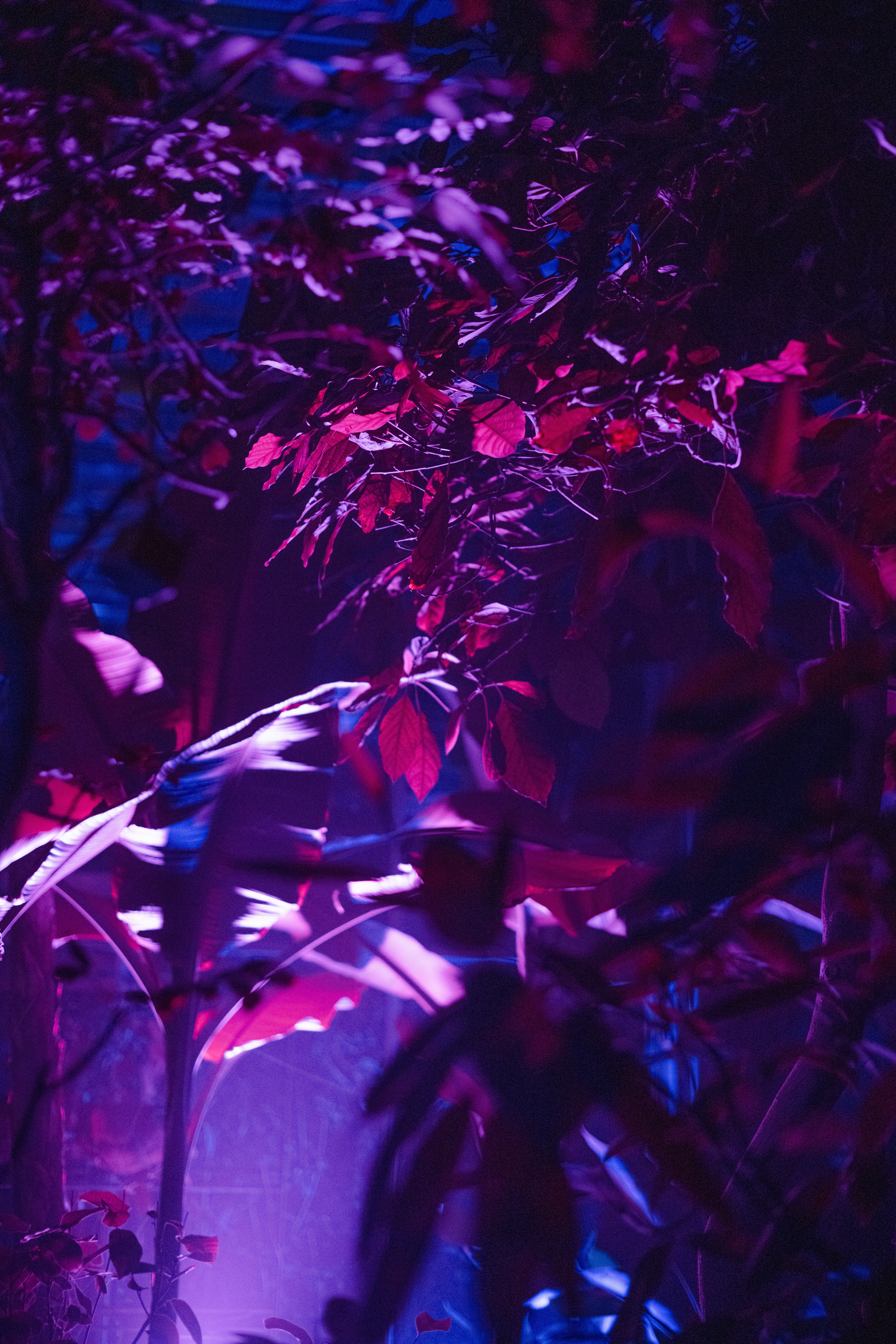 Photo by anitaaustvika