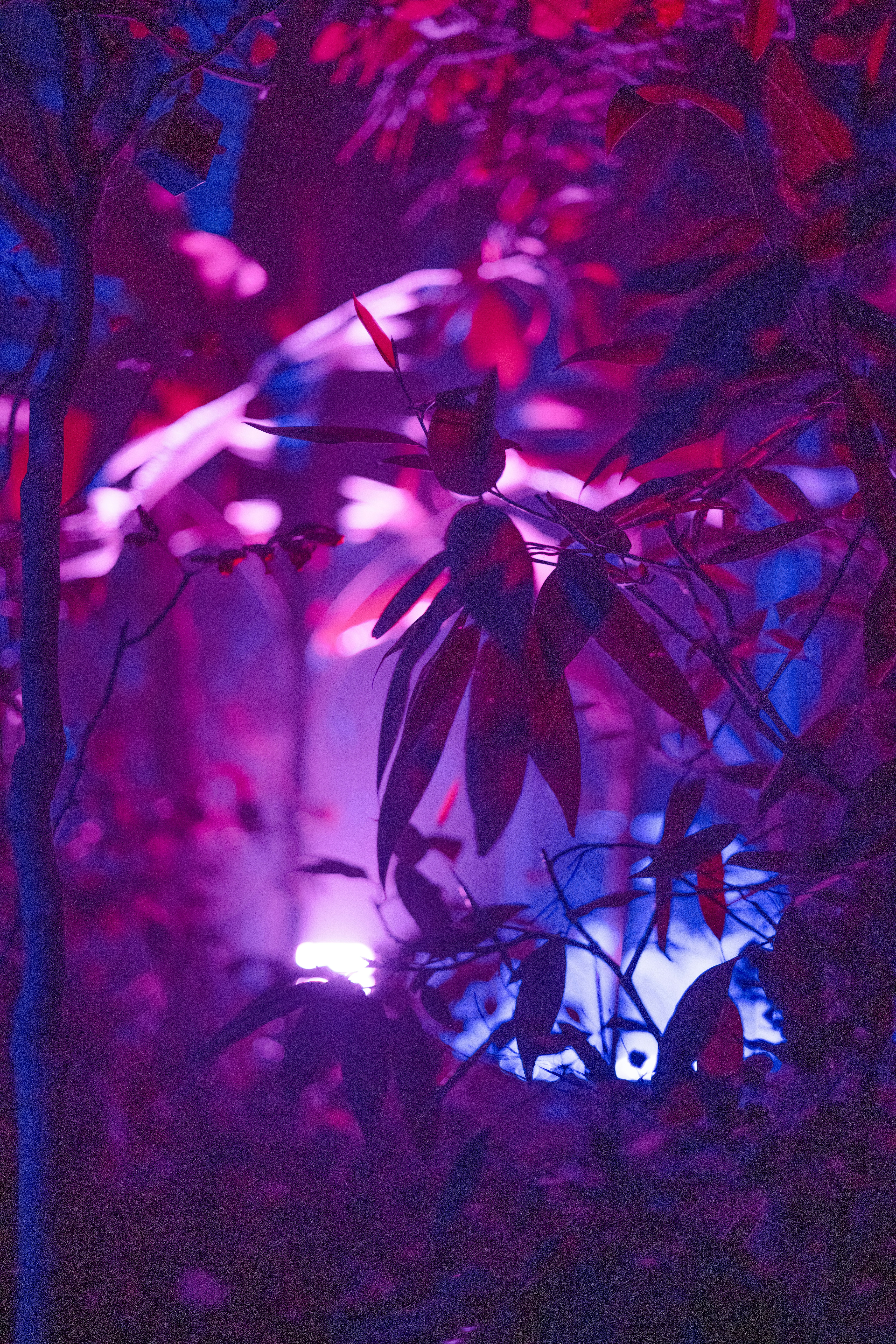 Photo by anitaaustvika