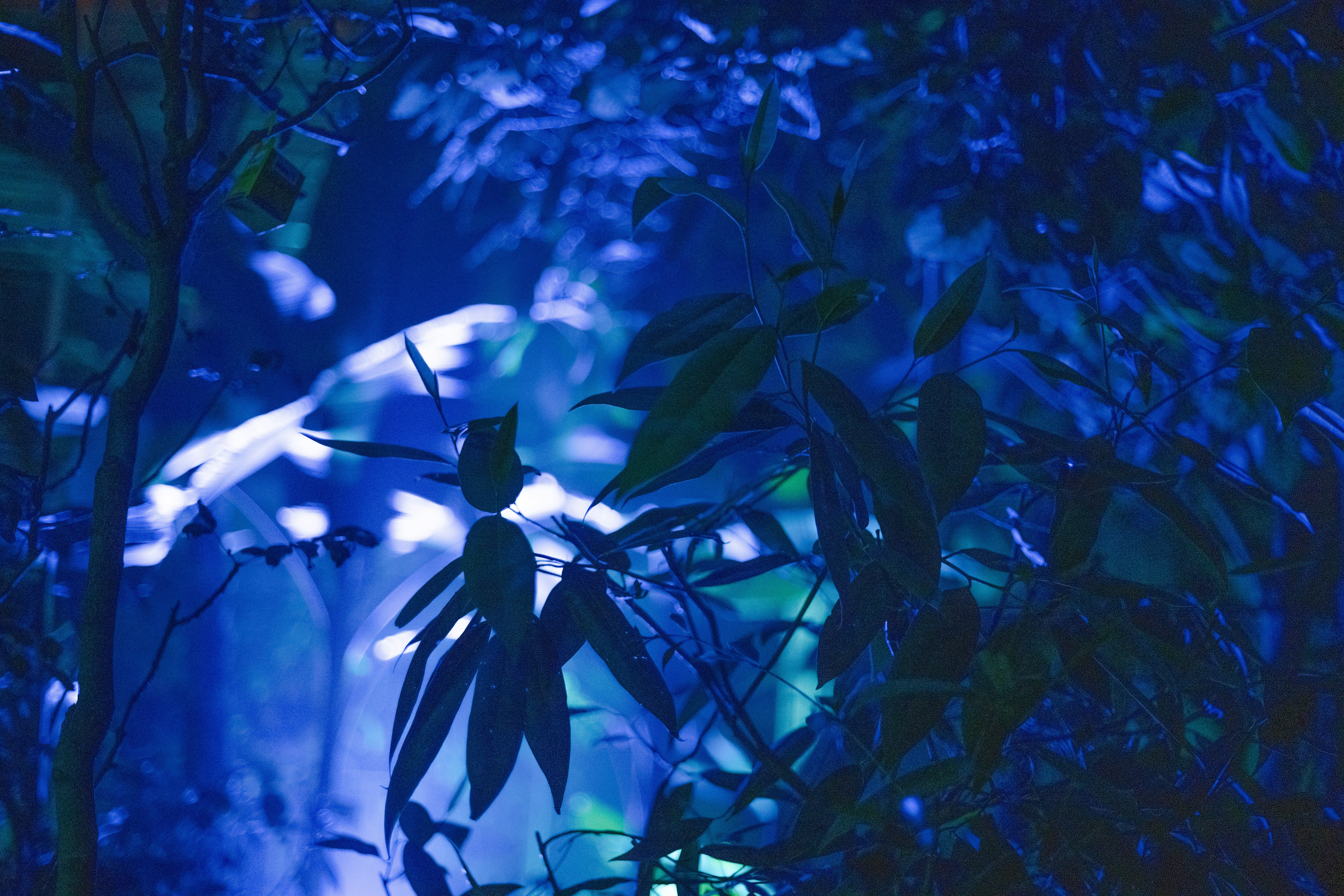 Photo by anitaaustvika