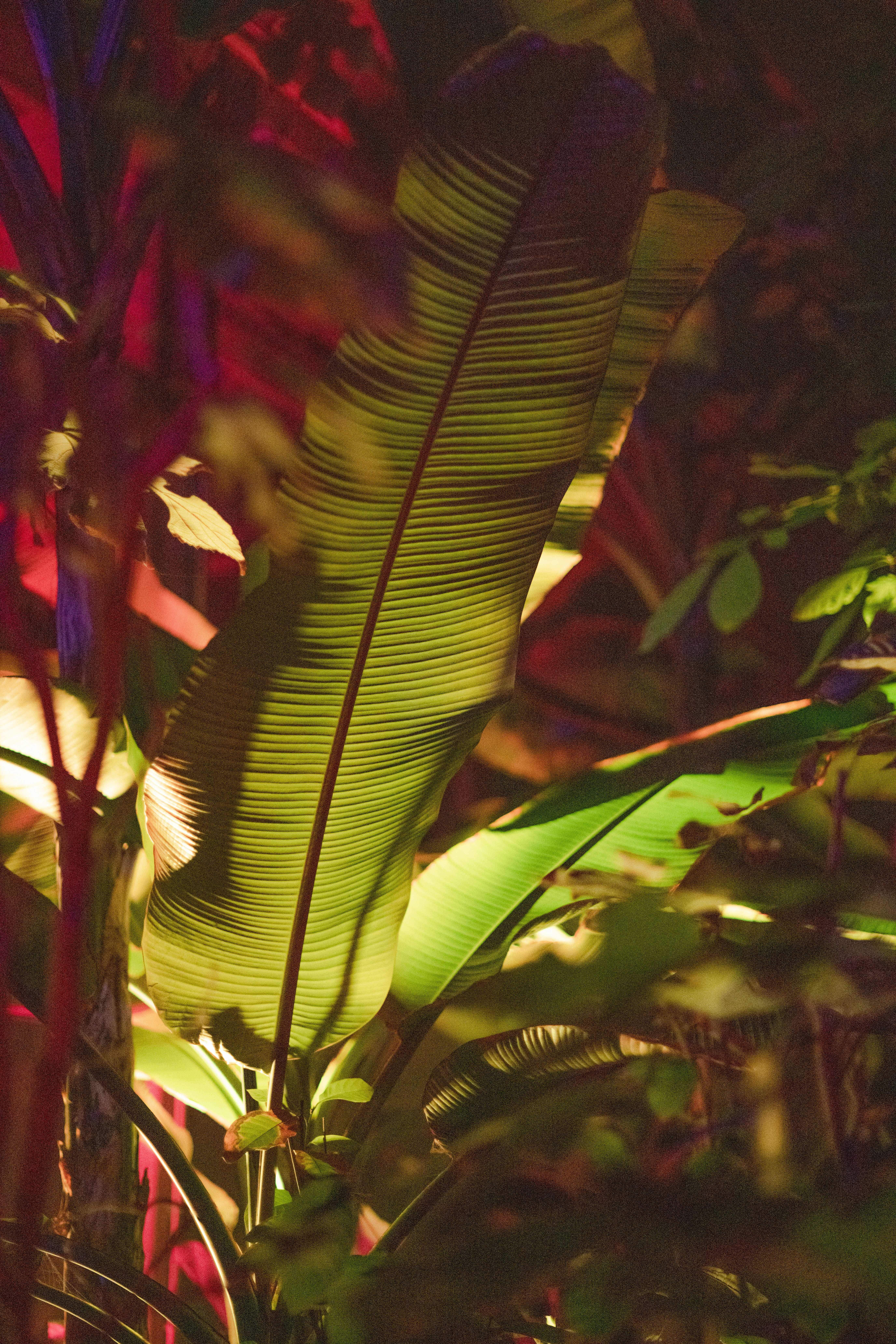 Photo by anitaaustvika