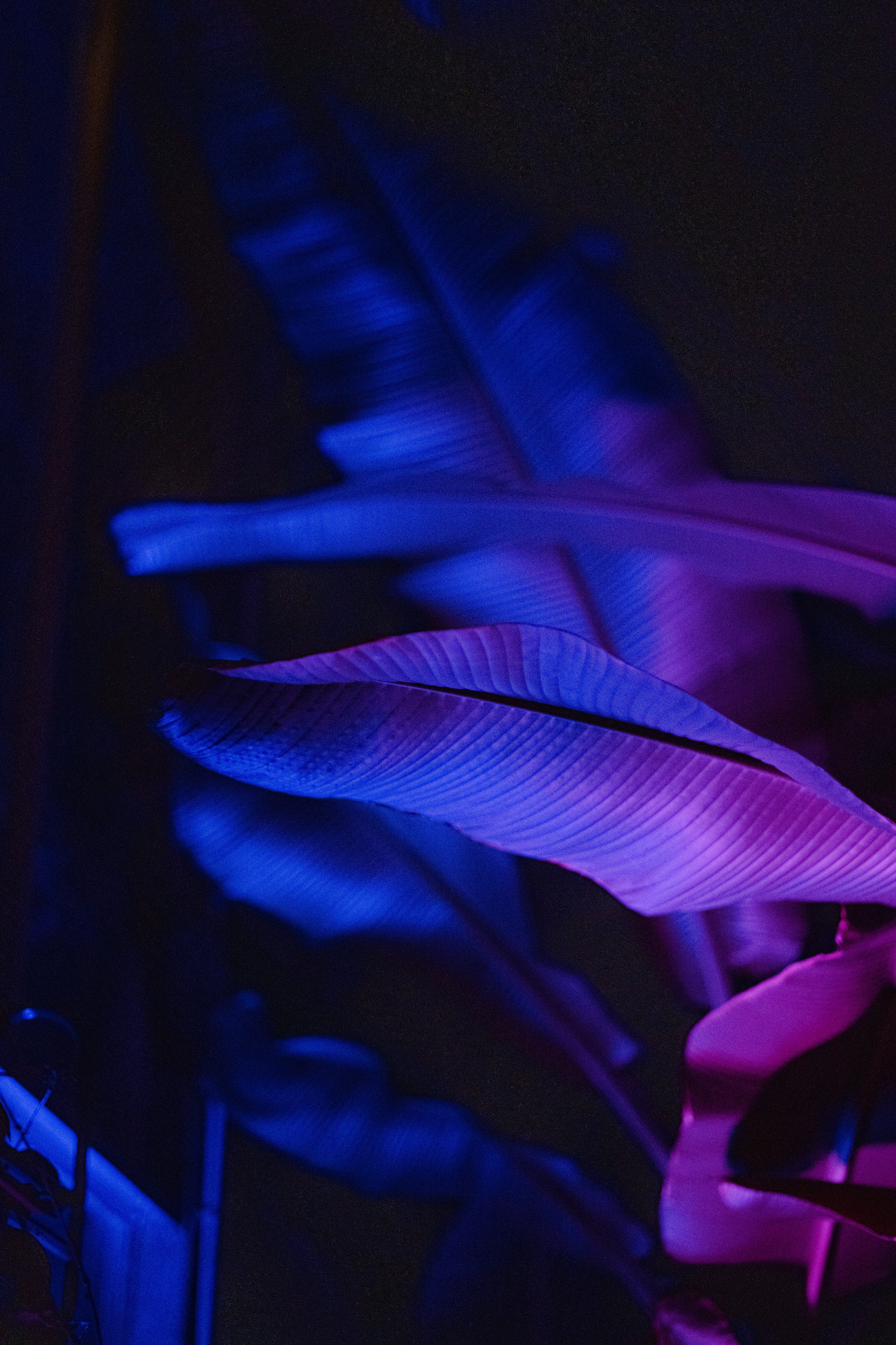 Photo by anitaaustvika