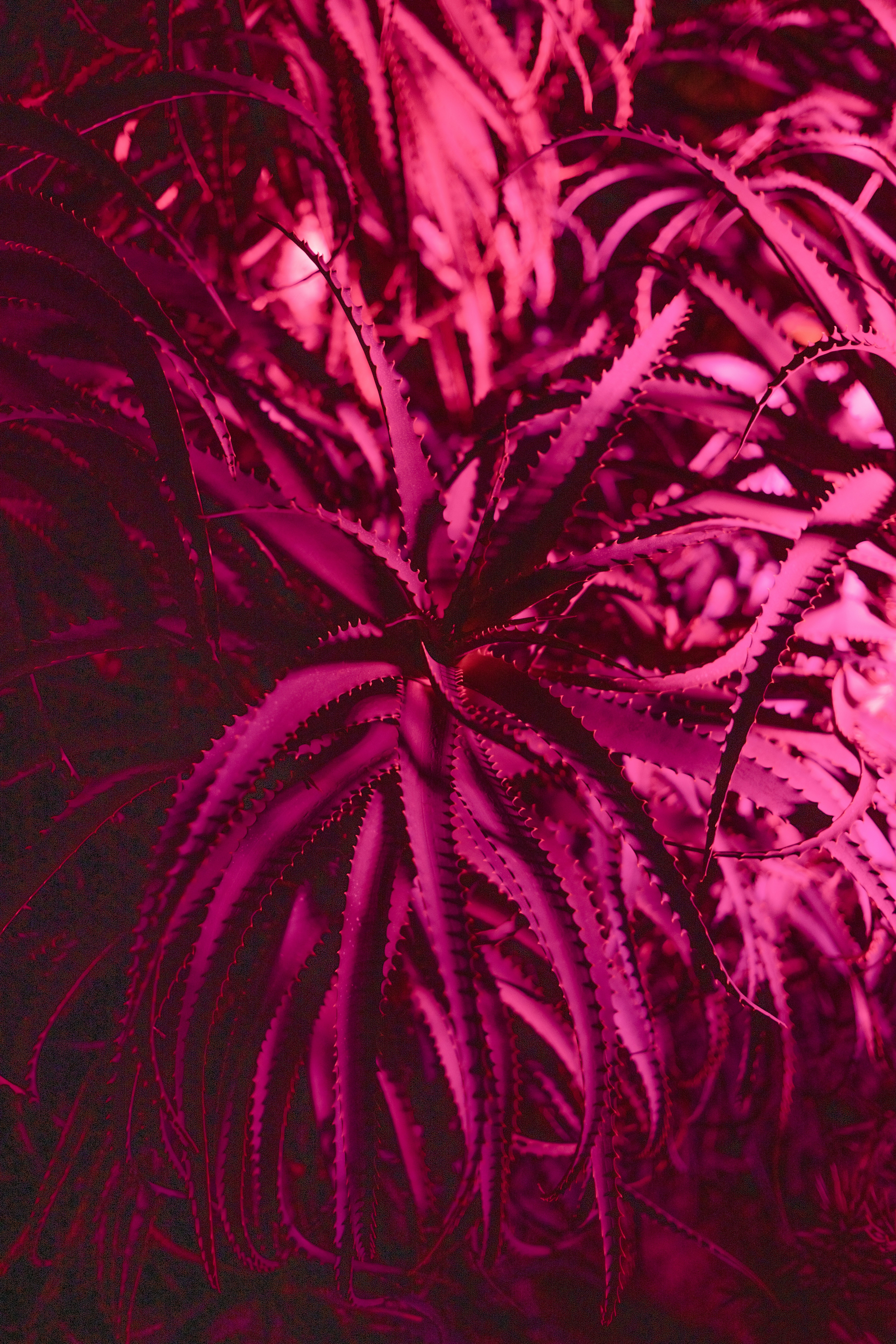 Photo by anitaaustvika