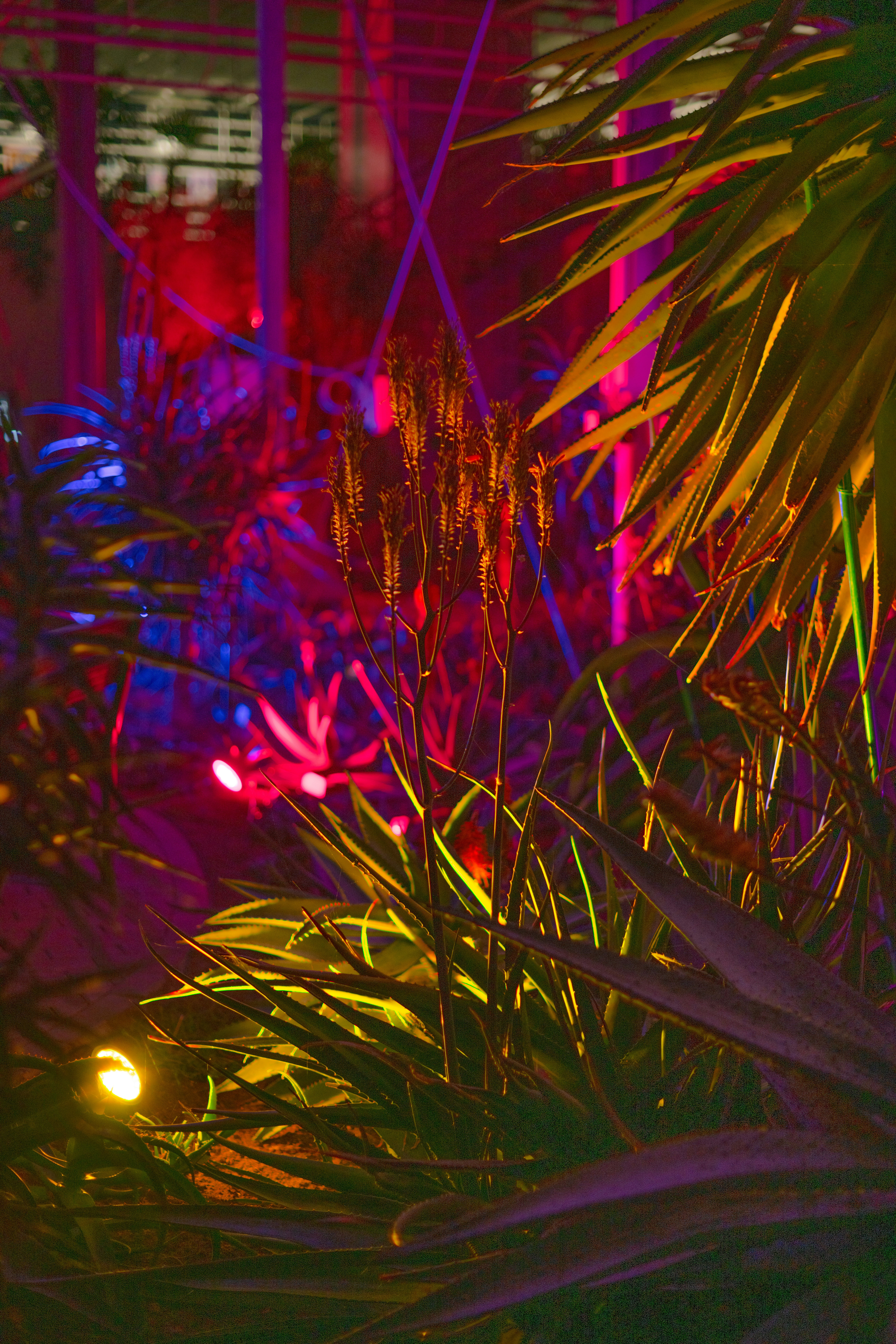 Photo by anitaaustvika