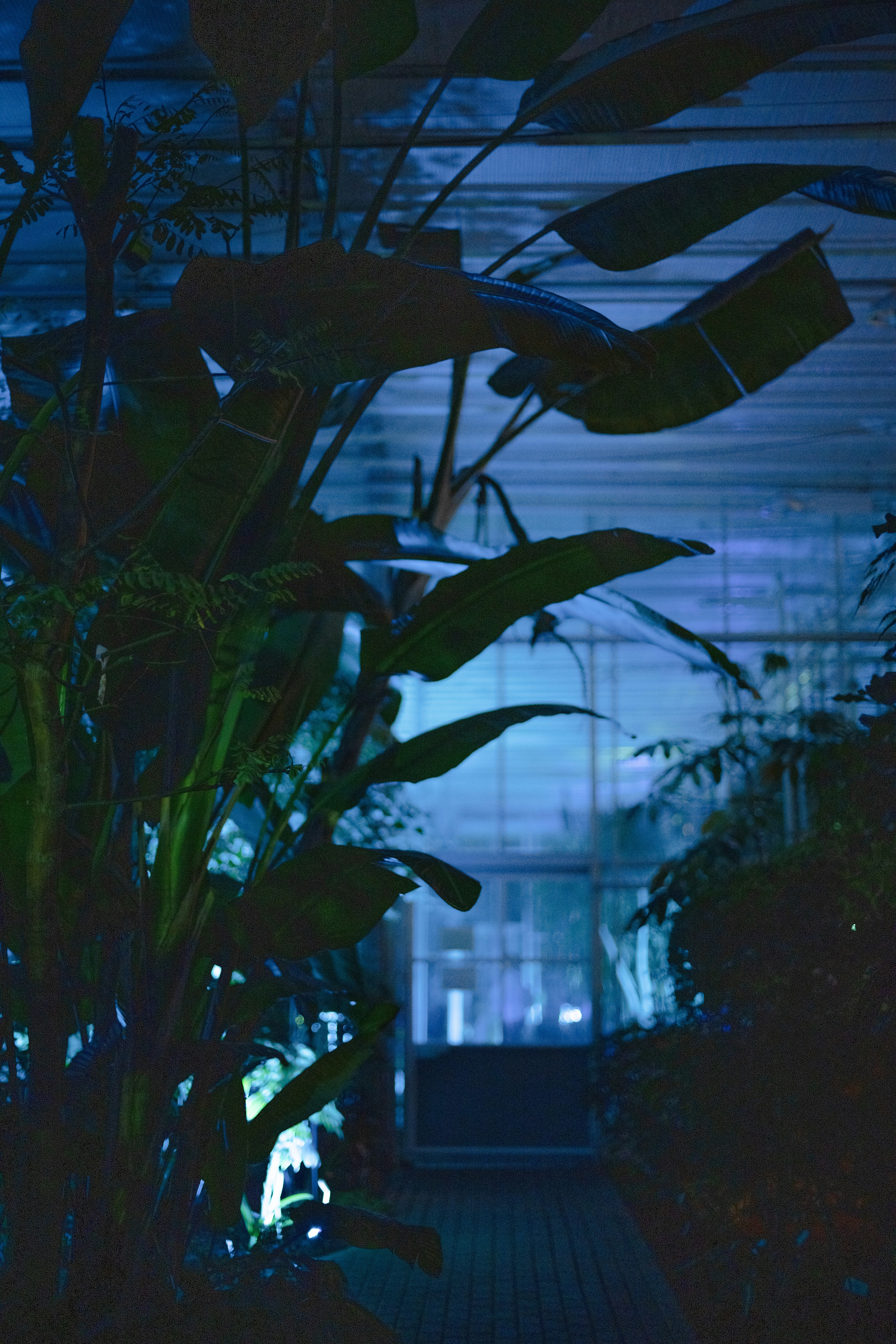 Photo by anitaaustvika