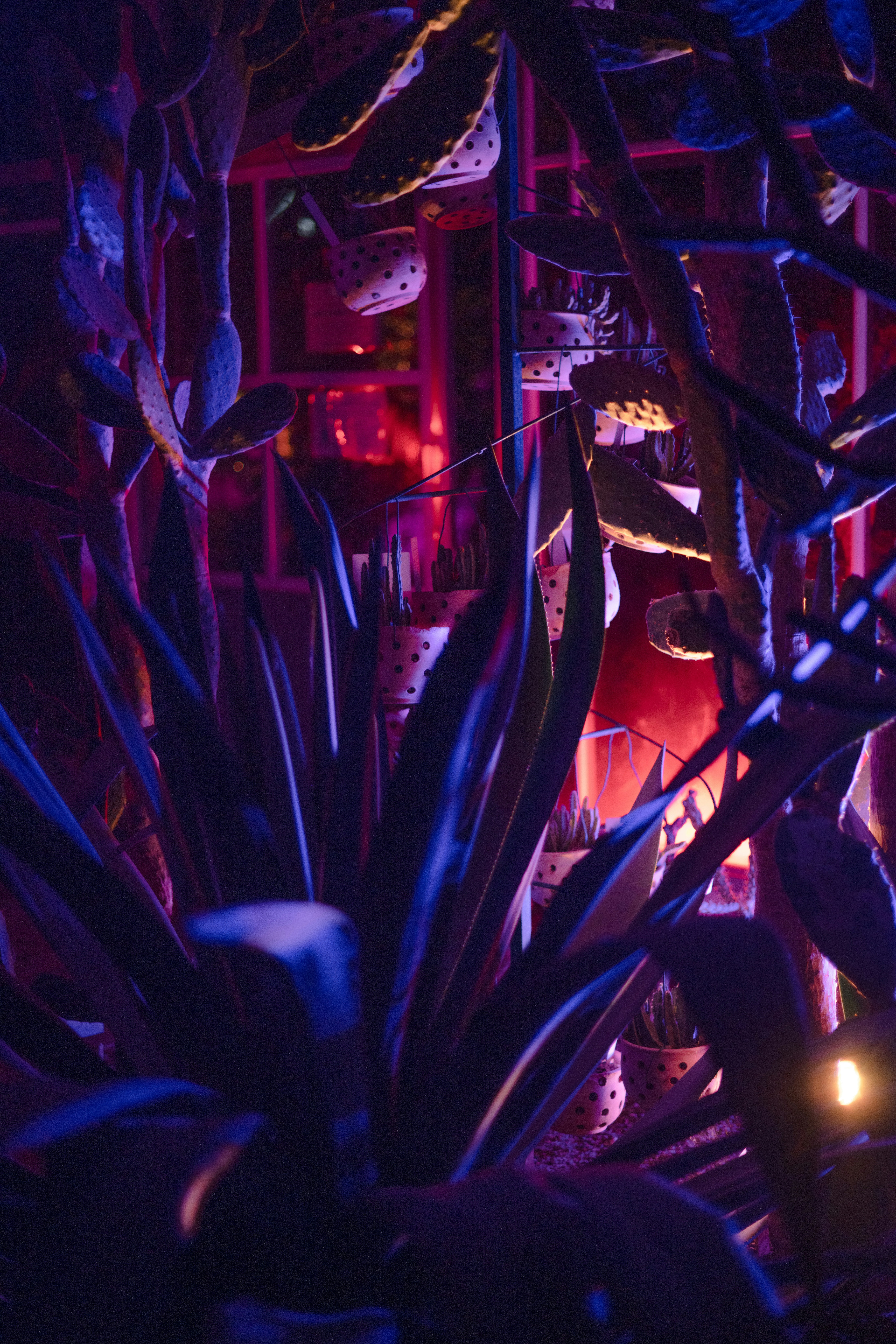 Photo by anitaaustvika