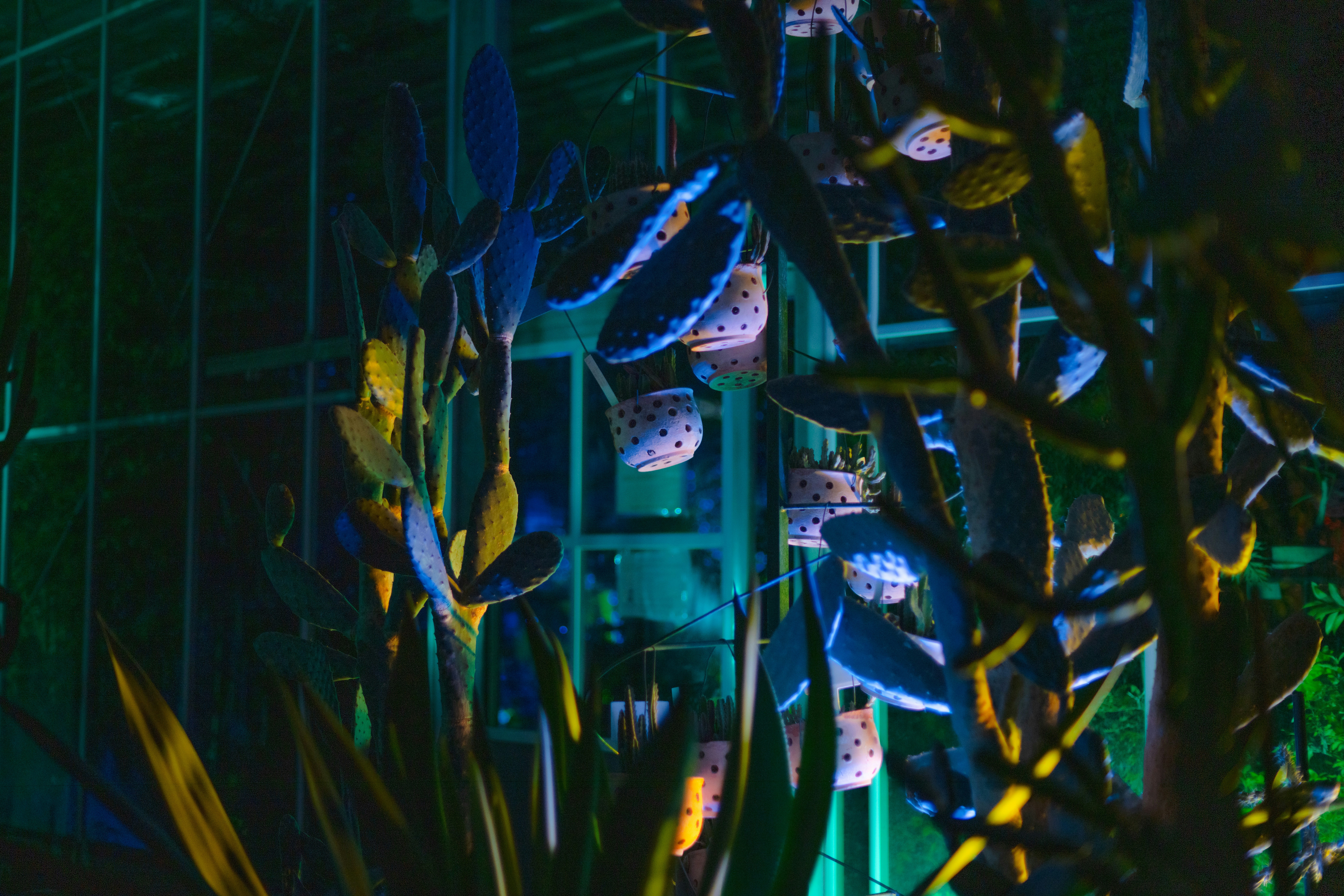 Photo by anitaaustvika