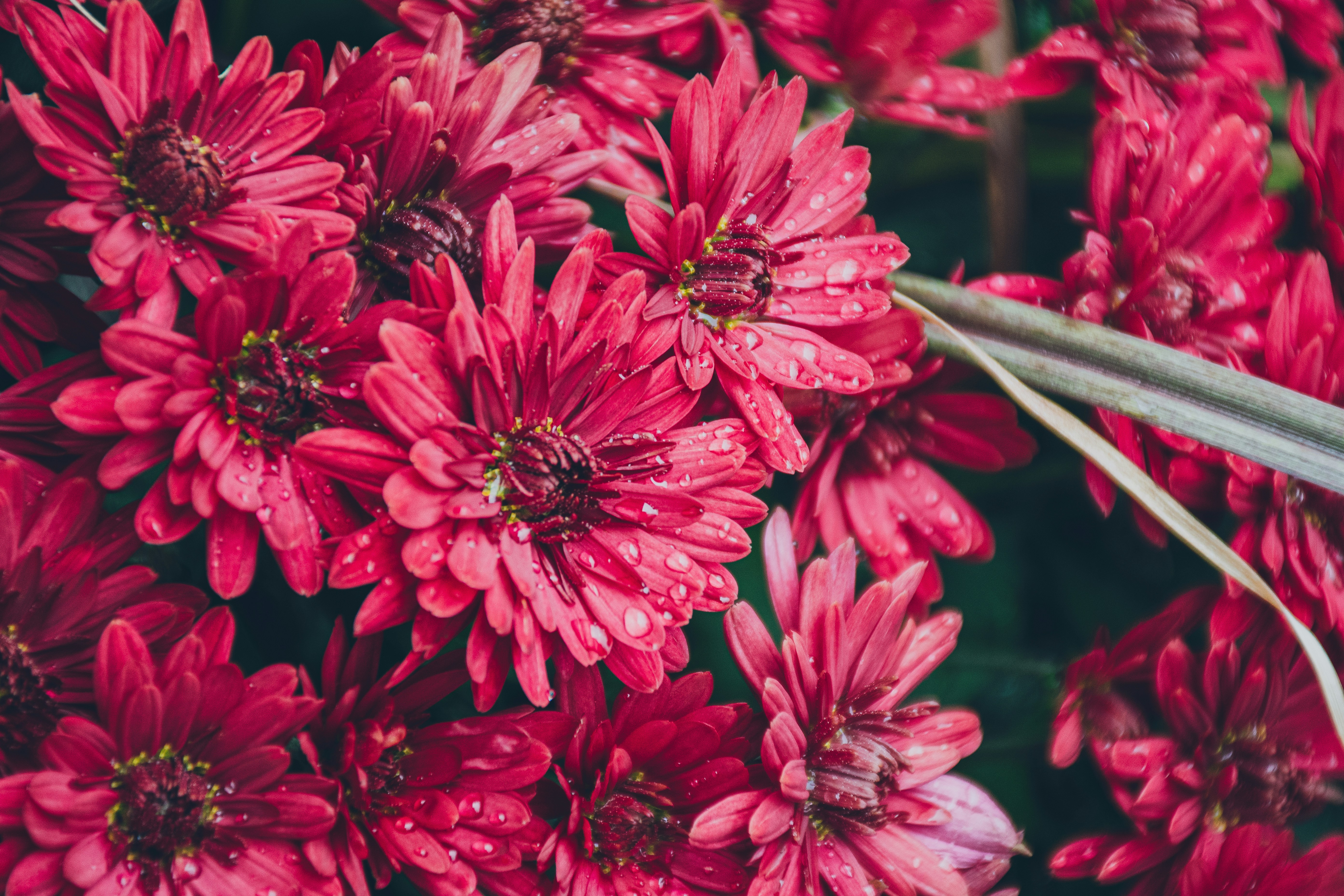 Photo by clovegrove7