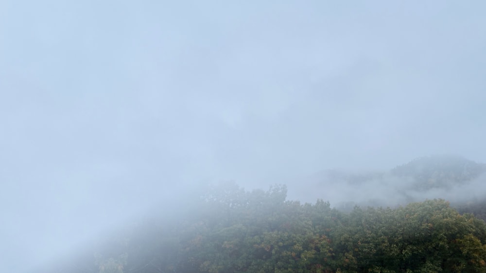 a plane flying over a mountain covered in fog