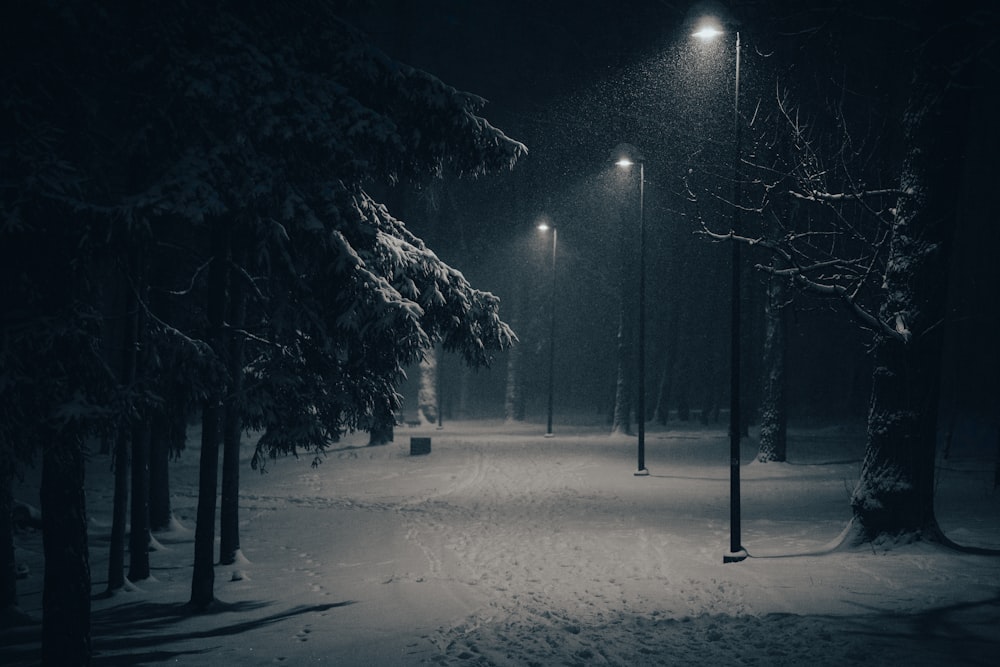 a snowy night in a park with street lights