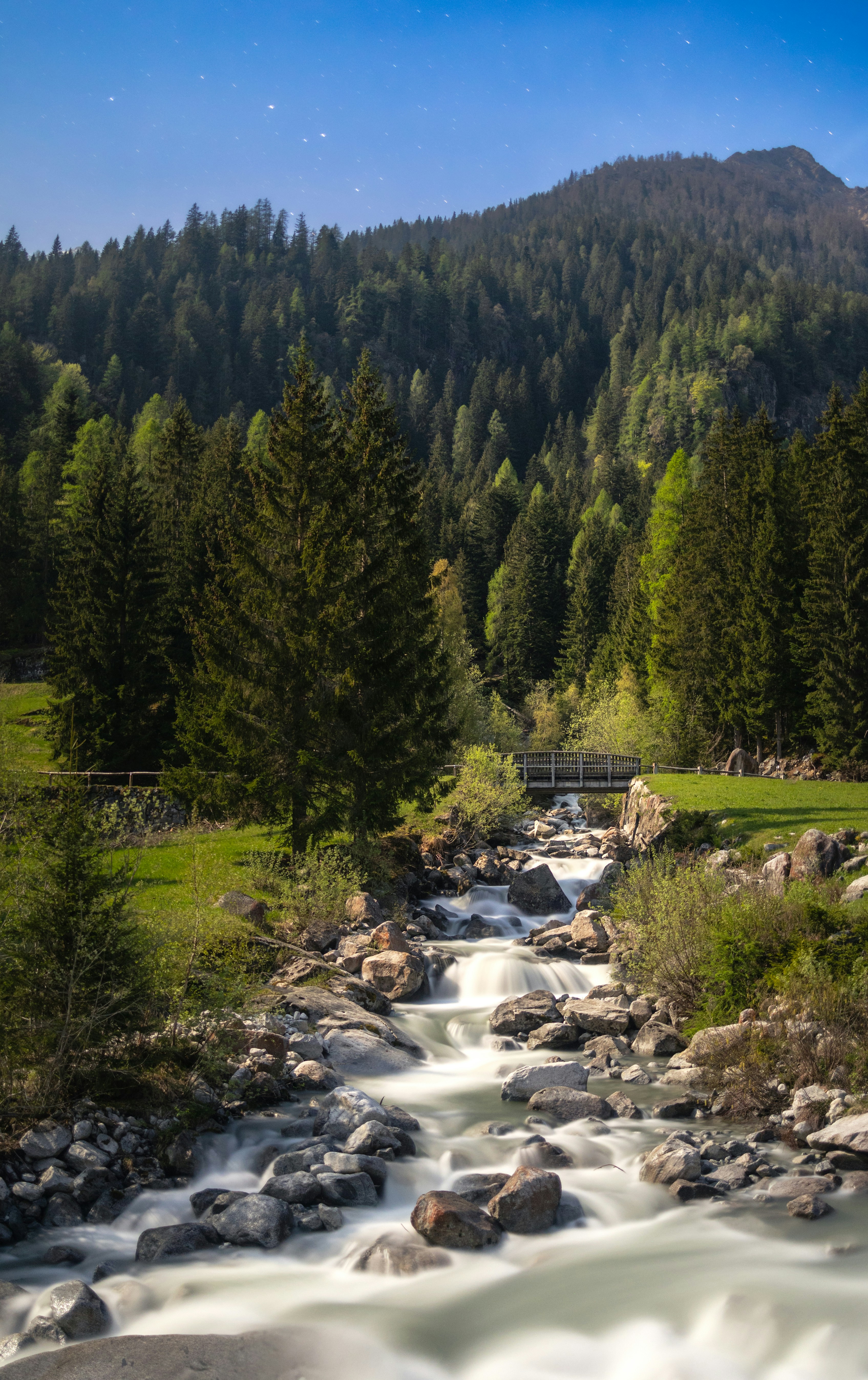 Photo by marekpiwnicki