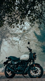 A motorcycle is parked under a canopy of tree branches with scattered leaves. The background features a foggy, serene setting with trees, creating a calm atmosphere.