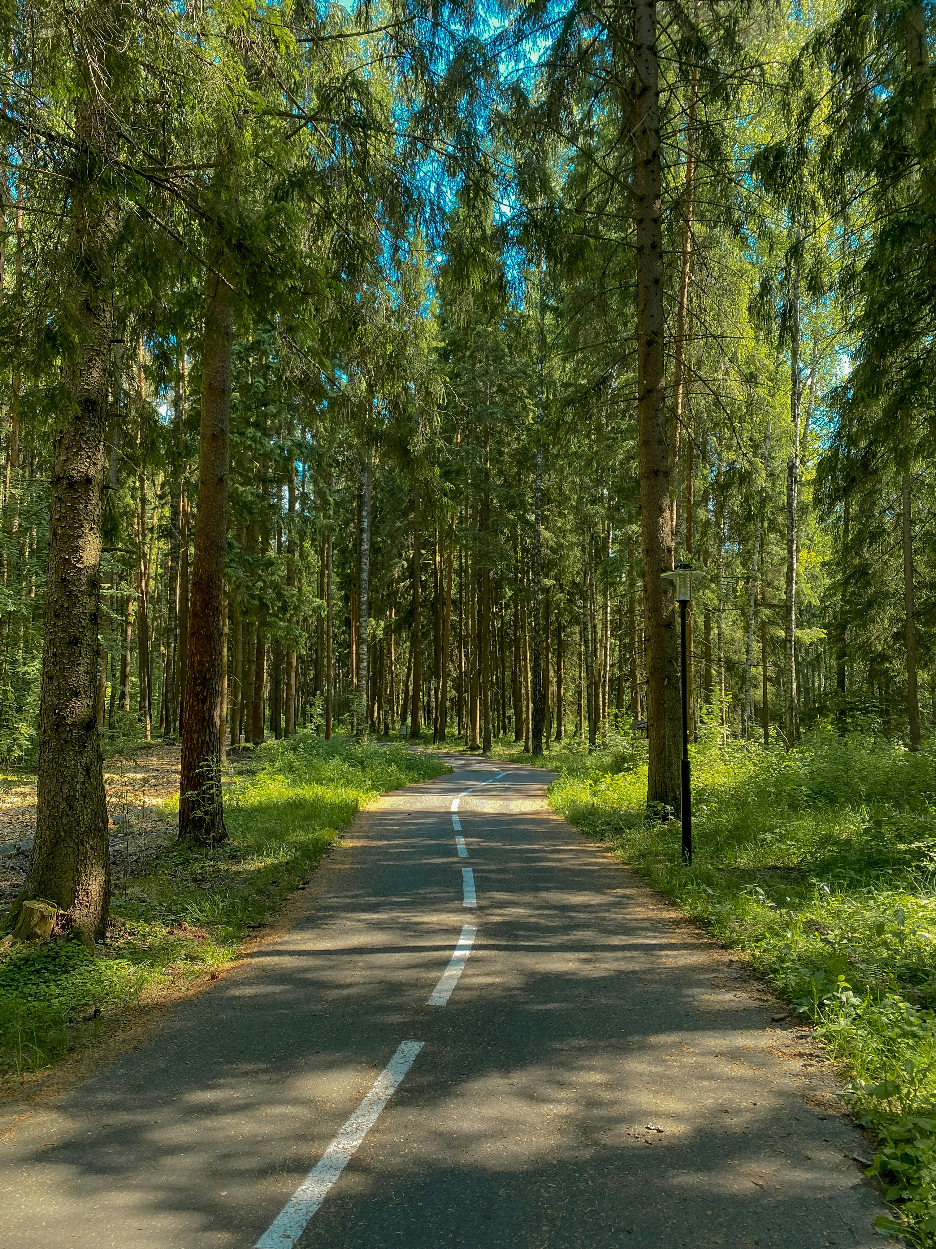 Photo by polina_twin