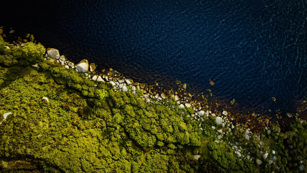 an aerial view of a body of water surrounded by trees