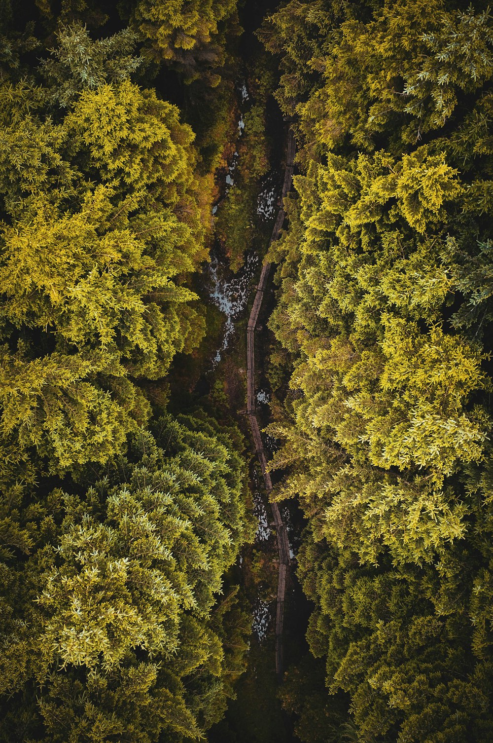 an aerial view of a road in the middle of a forest