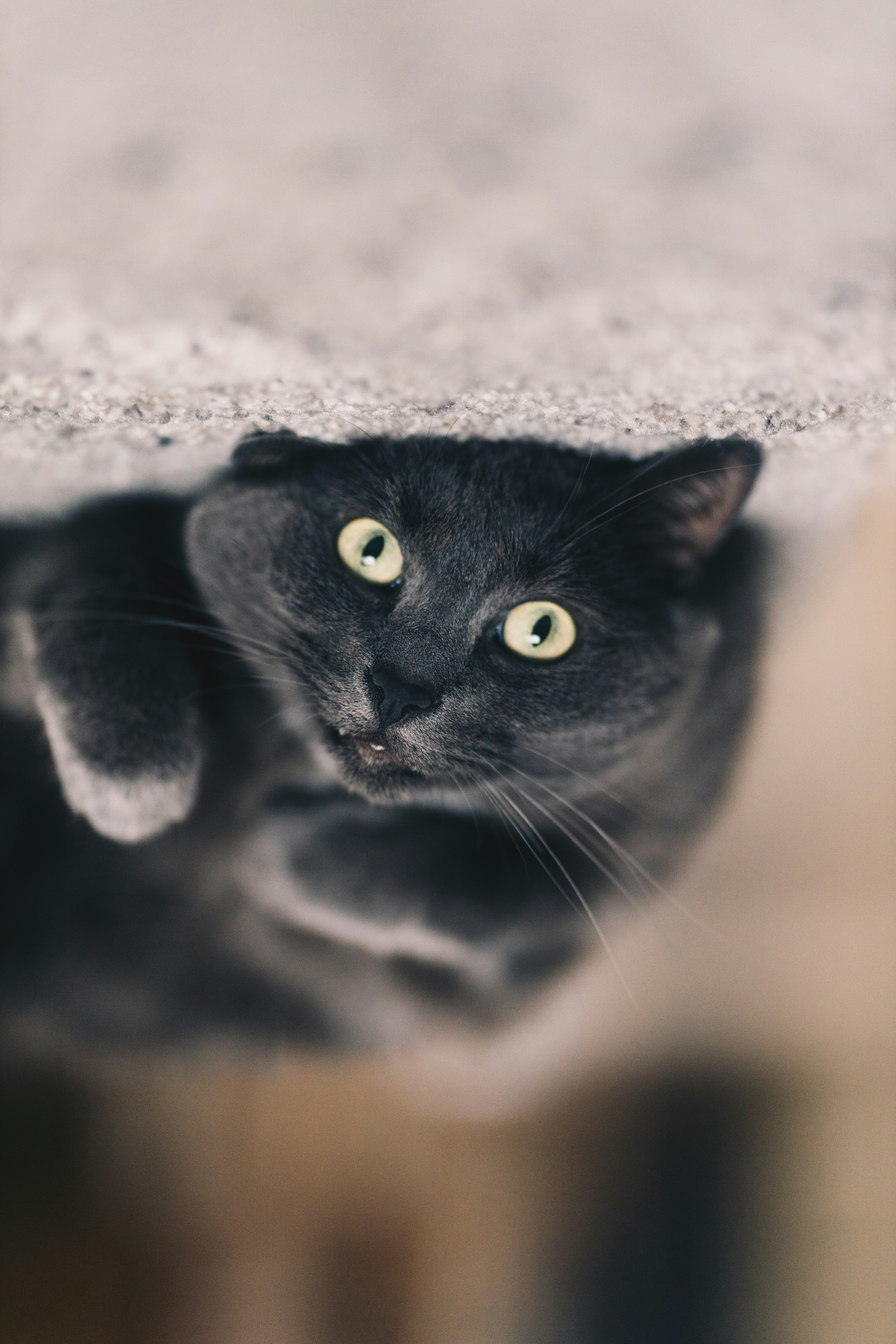 Photo by lorenzohamers