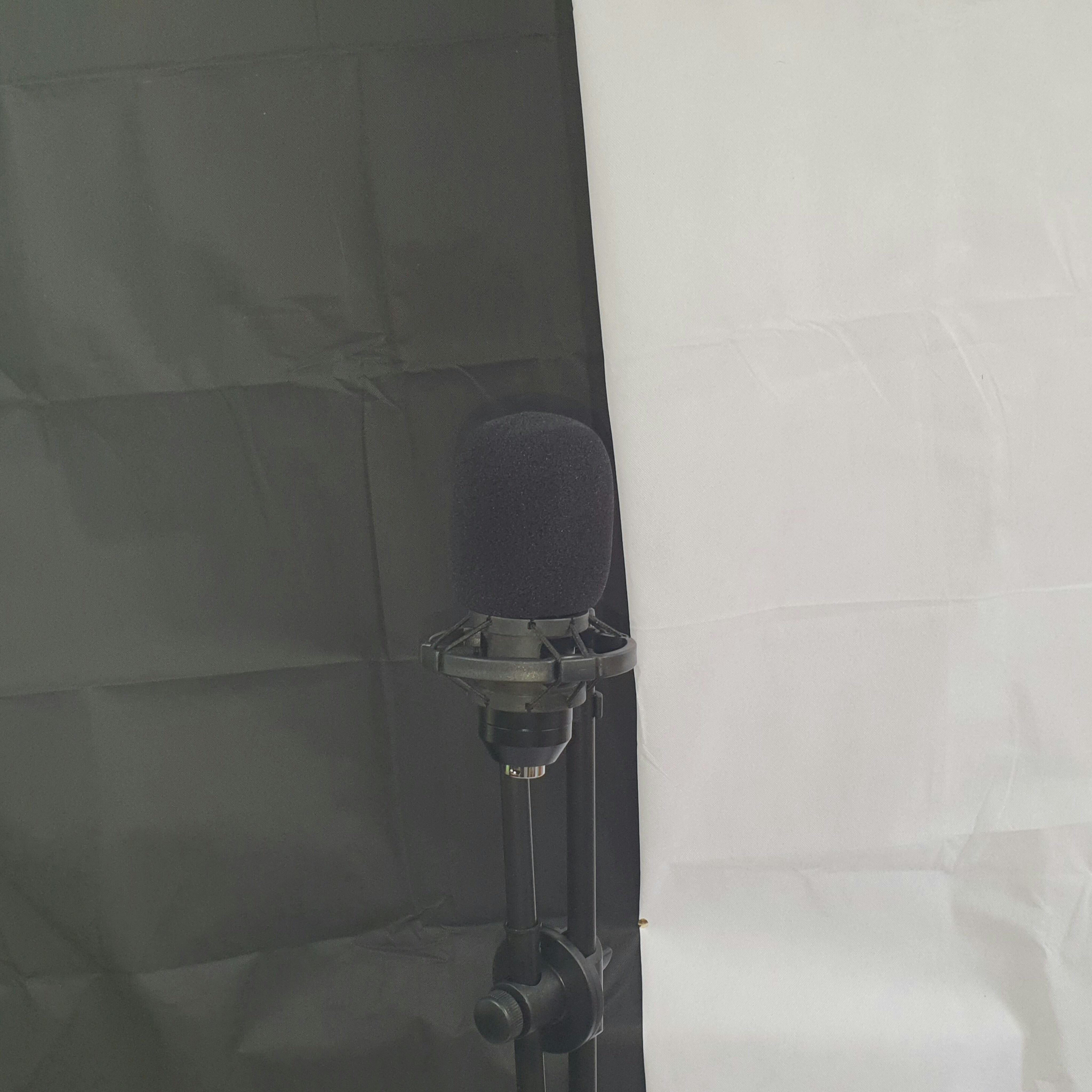 EchoForge Mic Stand