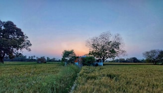 A peaceful countryside scene painted in soft pastels with rolling hills and a winding path.