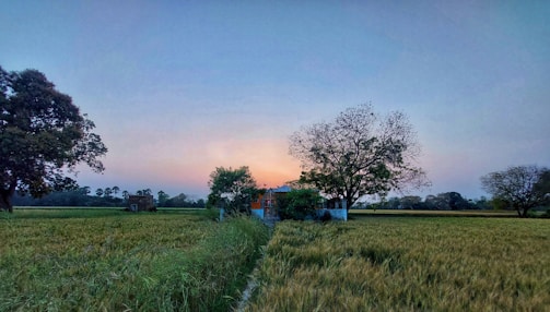 A peaceful countryside scene painted in soft pastels with rolling hills and a winding path.