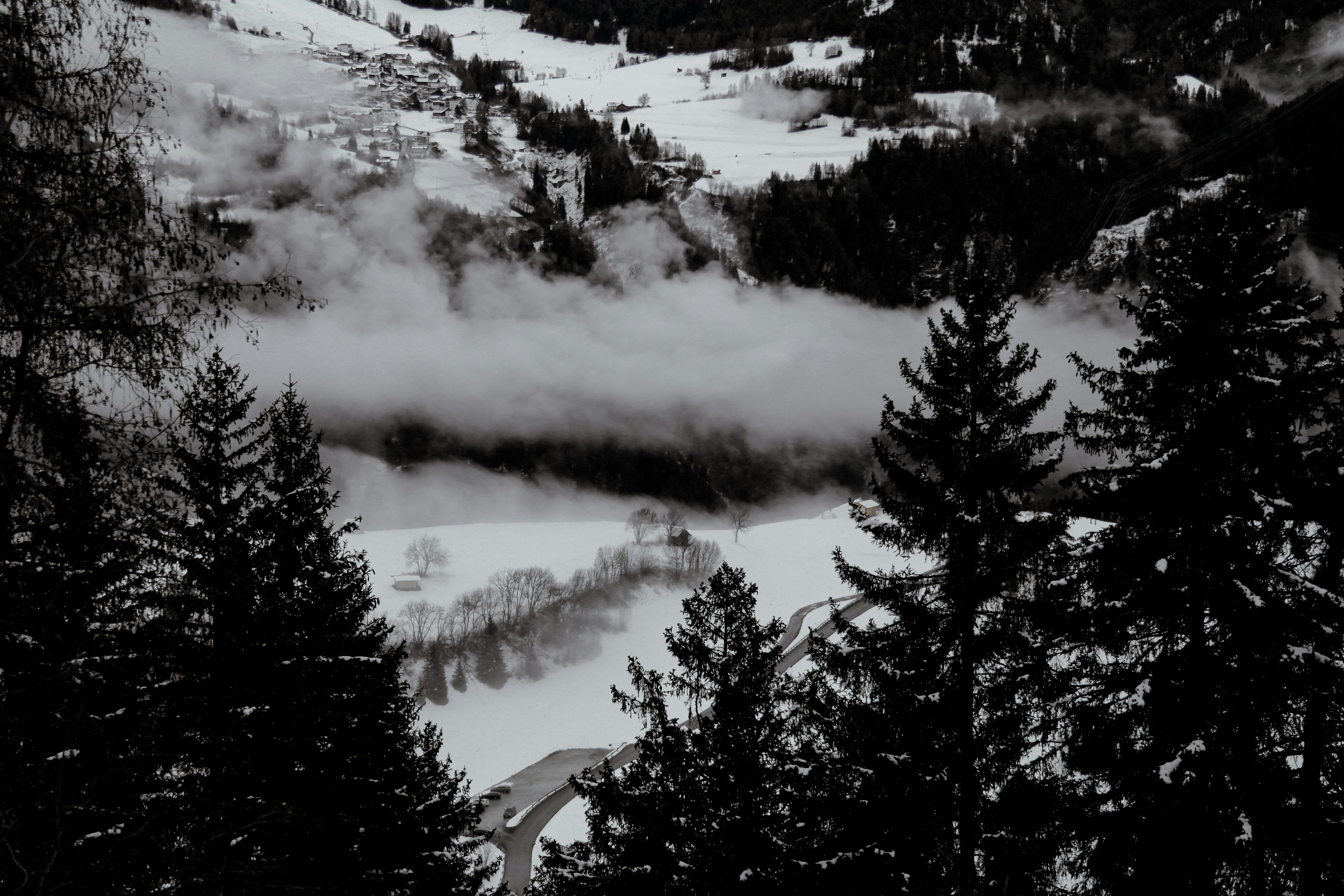 Photo by louisbraendlin