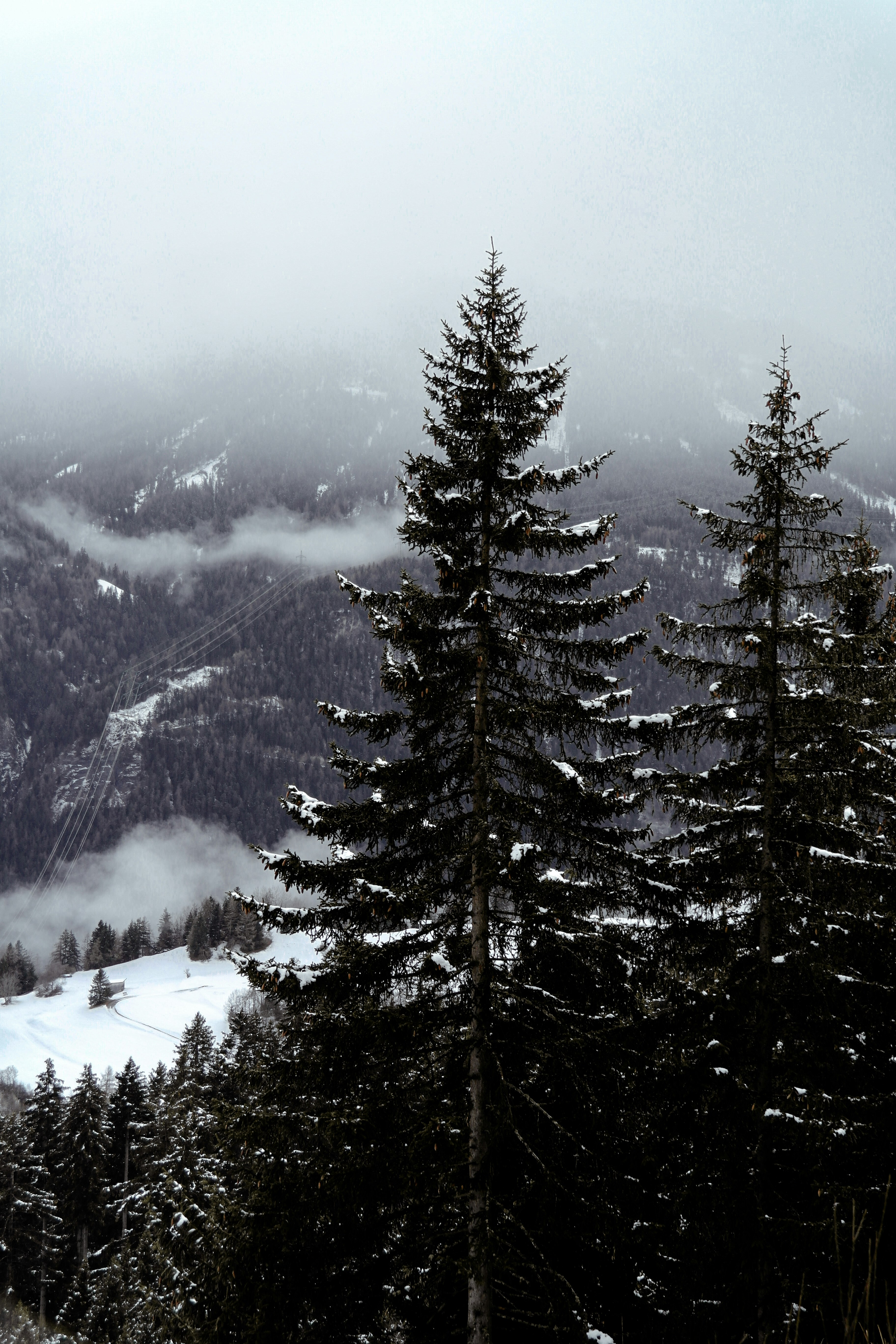 Photo by louisbraendlin