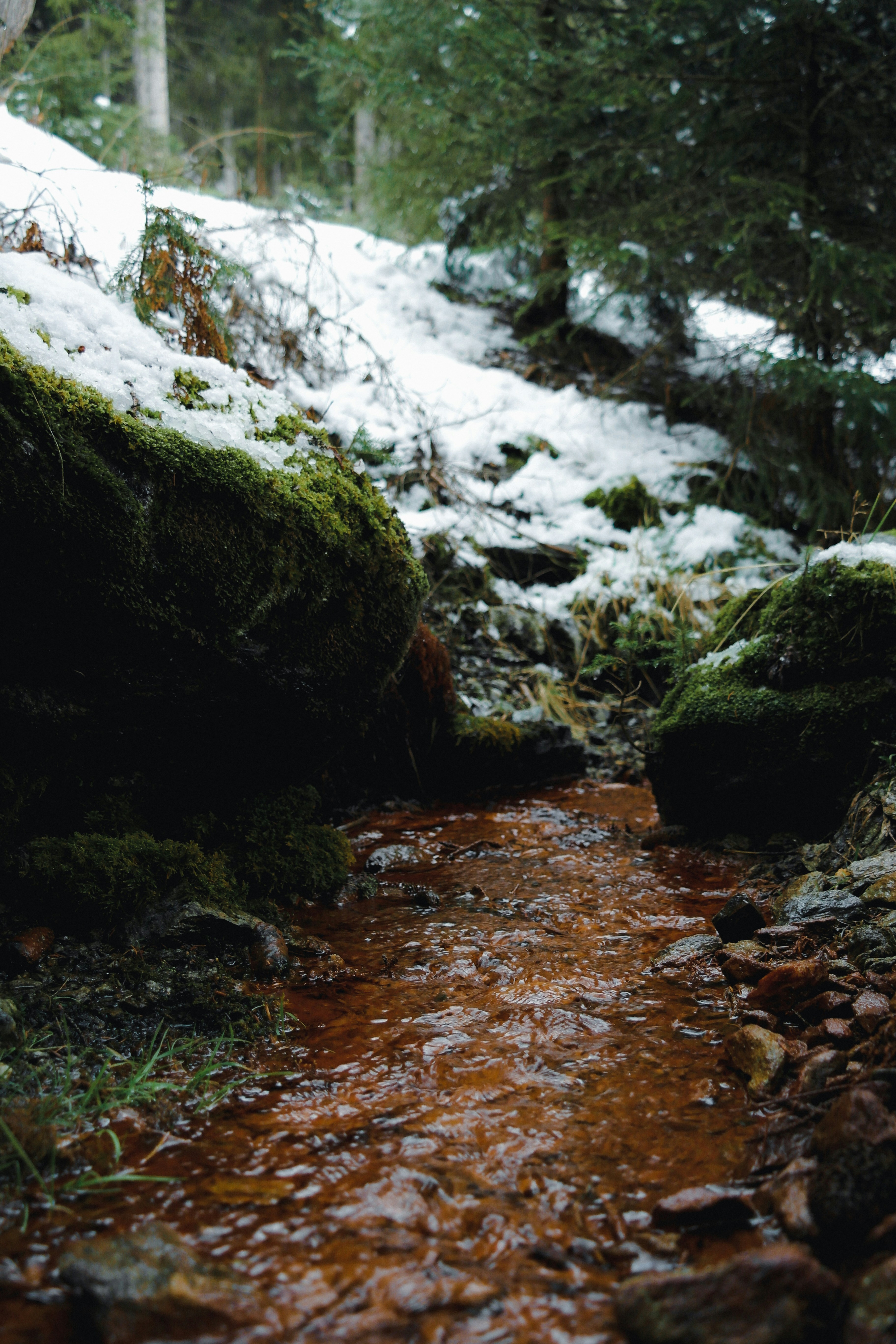 Photo by louisbraendlin