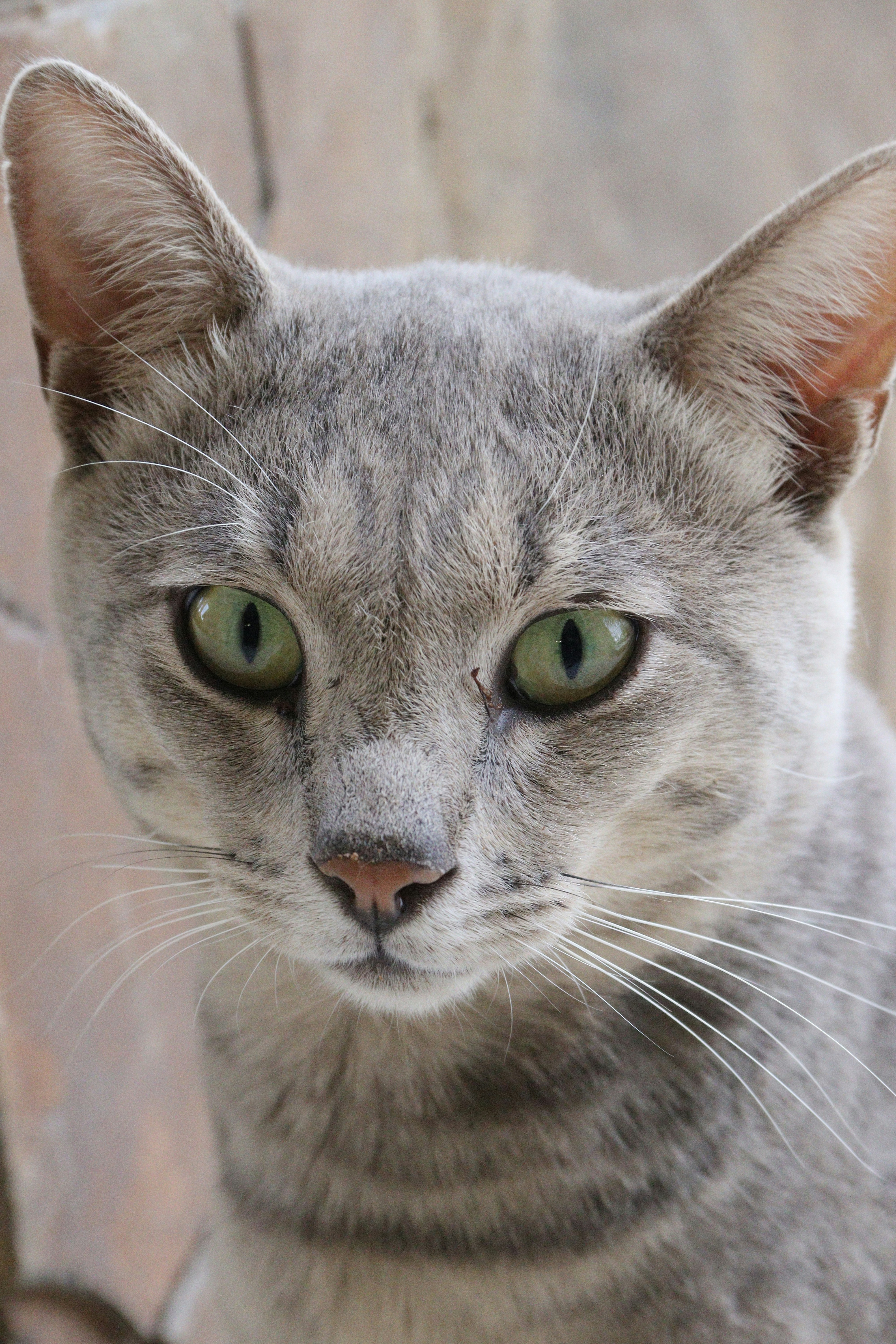 Windhoek – Cultural & Historical Context