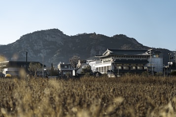 A traditional Korean building is set against the backdrop of a large, rugged mountain. The architecture features intricate wooden details and a tiled roof. The foreground is dominated by tall, dry grasses, and the scene captures a sense of tranquility and connection to nature.