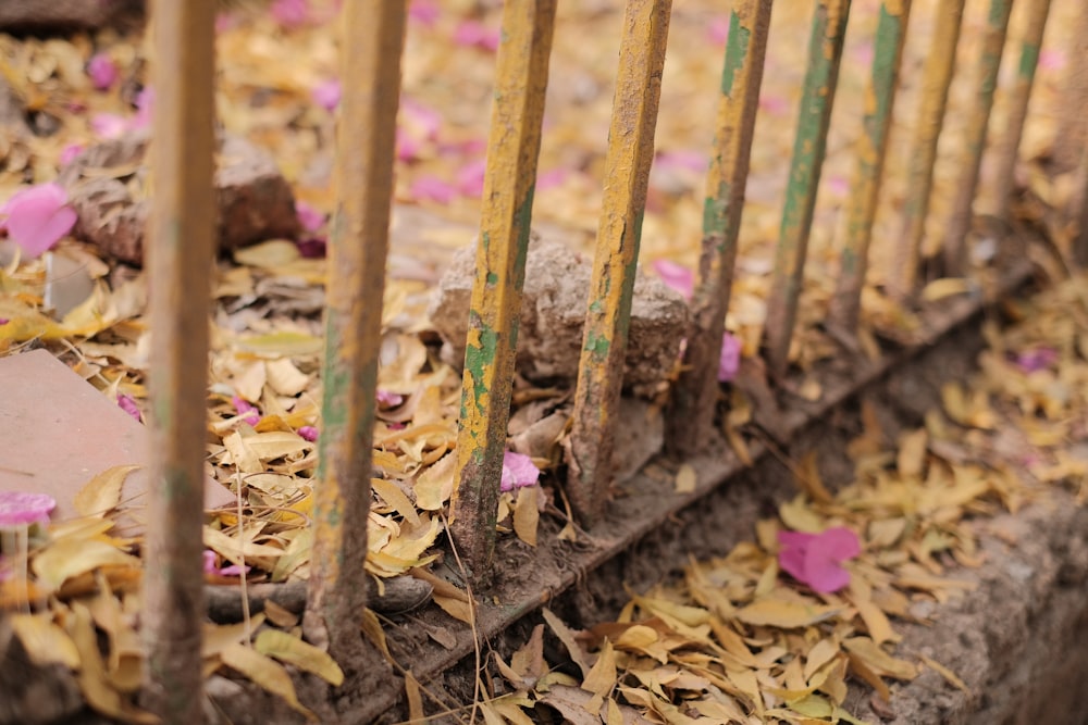 a close up of a fence with pink flowers on the ground