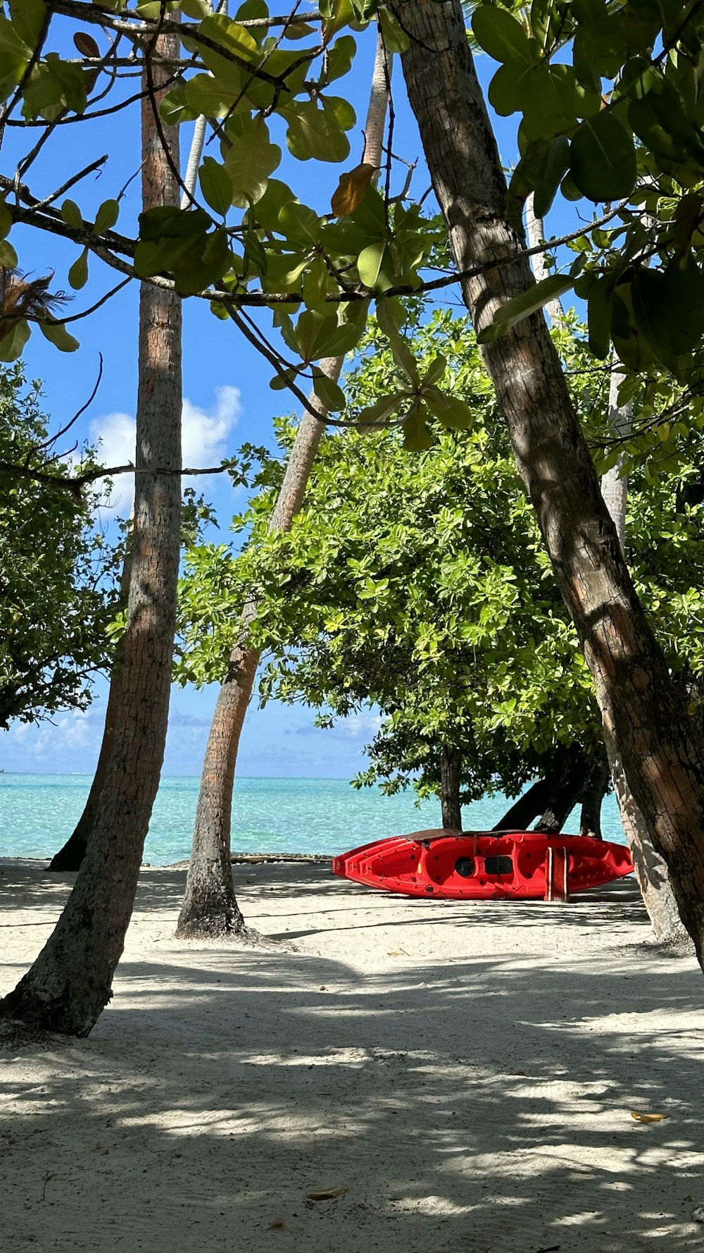 a beach with trees and a red boat in the water